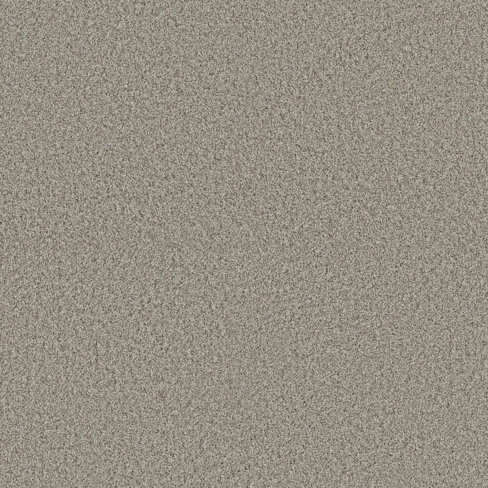 STAINMASTER PetProtect 7L965-125-SAMP (Sample) 8-in x 8-in with LeakDefense Pet Parade I Landscape Brown 43.9-oz sq yard High-performance polyester Textured Indoor Carpet