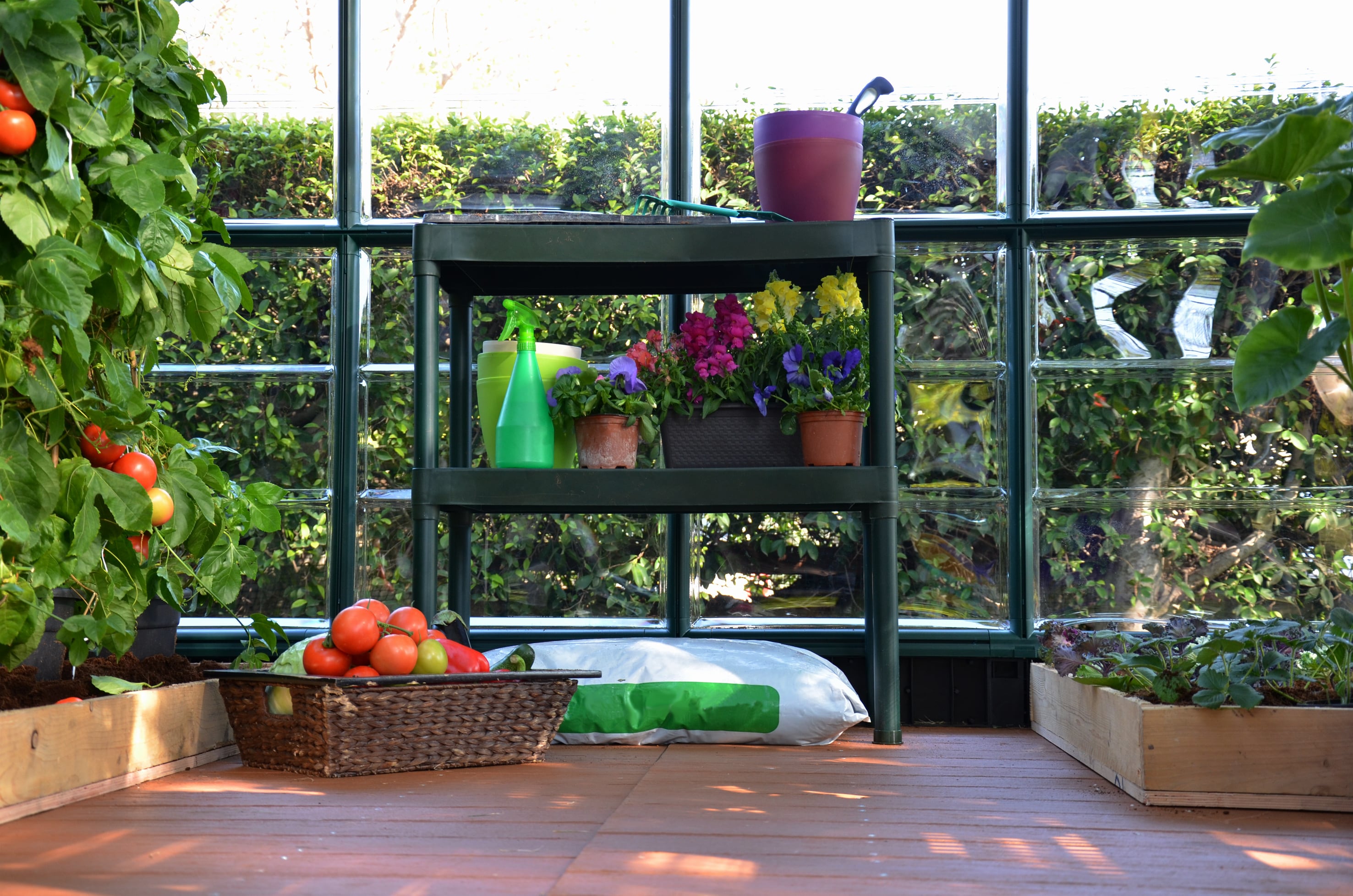 Canopia by Palram 702427 Greenhouse-Vent-Openers - View #5