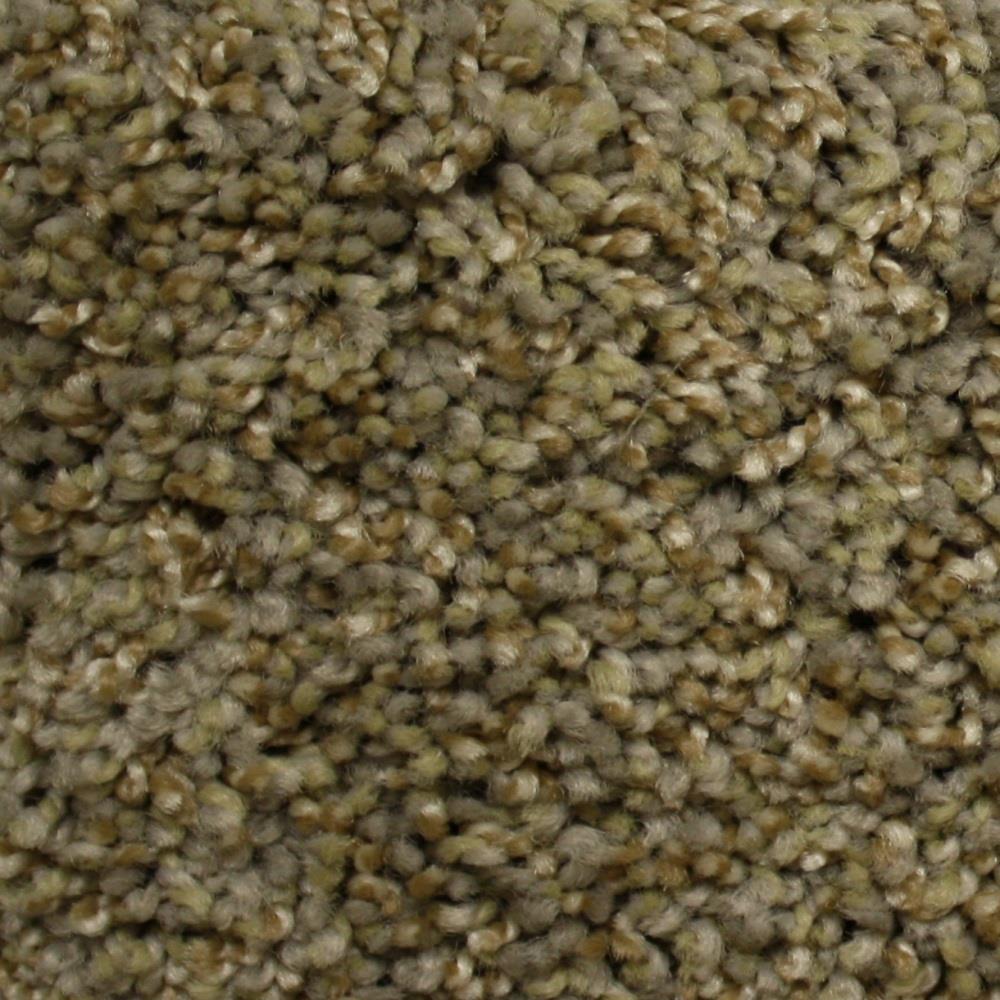 STAINMASTER FB042-407-1200-AB PetProtect Georgetown Season Pass Textured Indoor Carpet