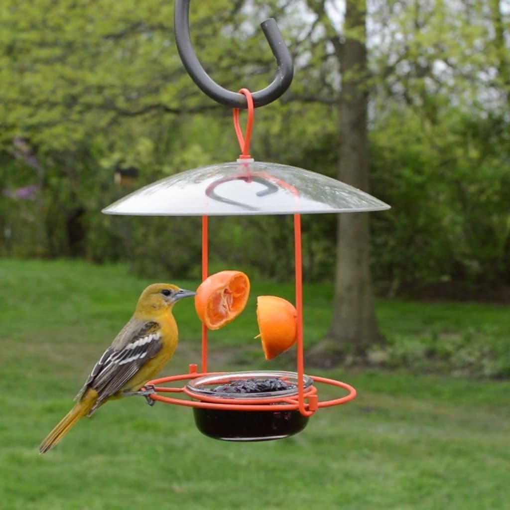 Nature's Way OFM1-CP1 Bird-Feeders - View #6
