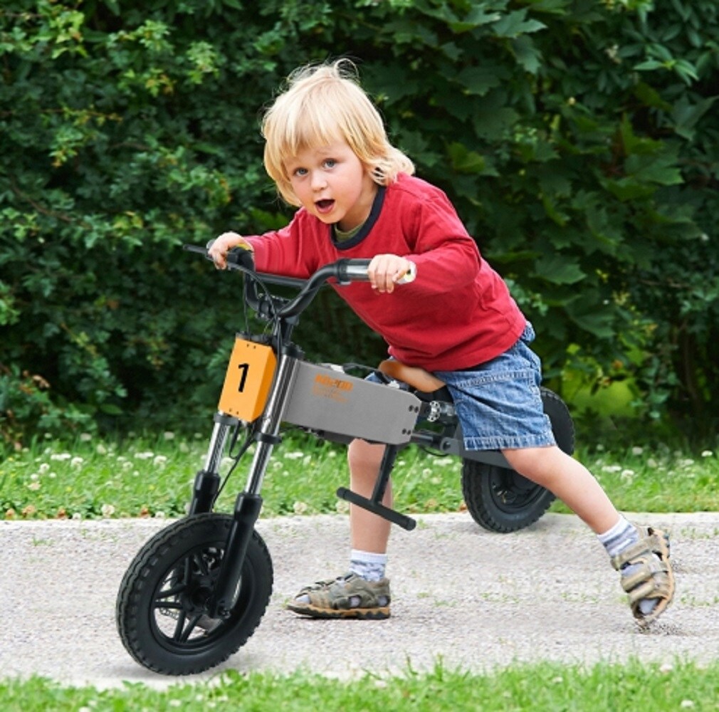 ZAKLOOP WU118591782 24-volt Balance bike Battery Included Charger Included