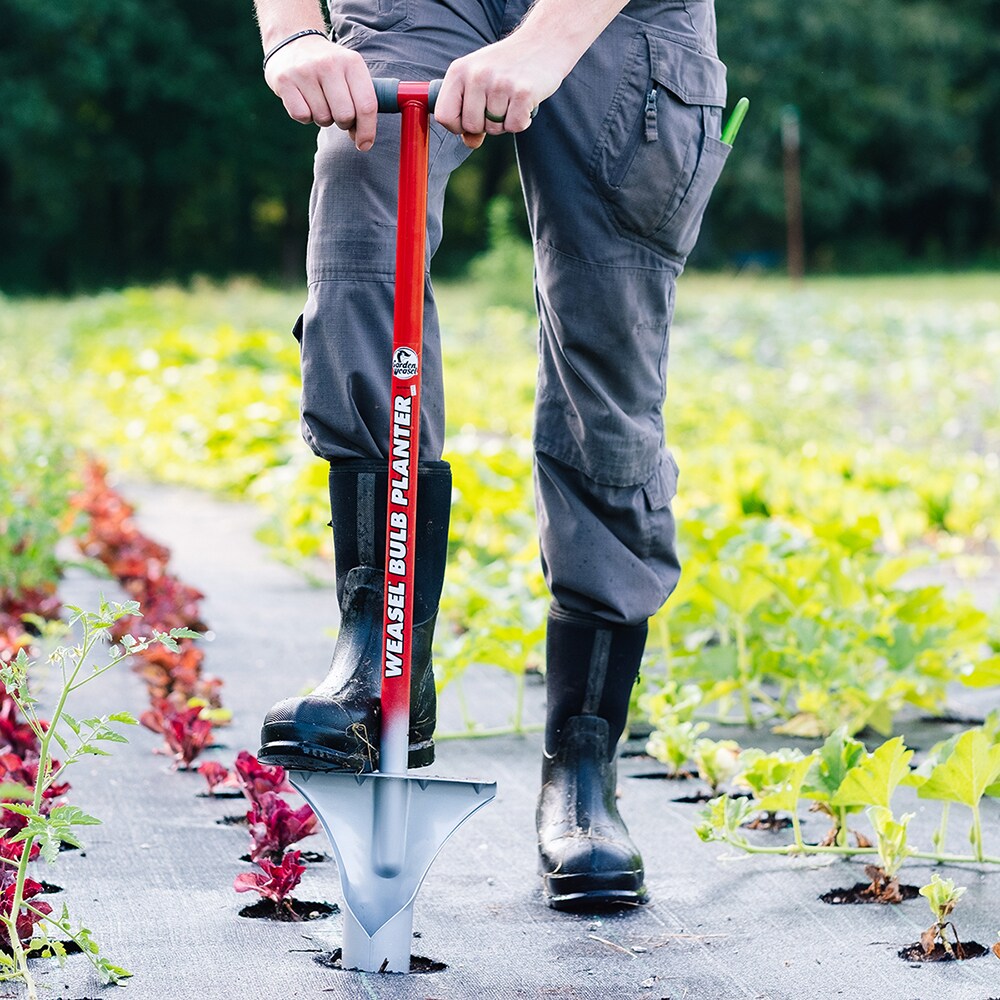 Garden Weasel 11.5-in Carbon Steel Long-handle Tool 91350 at