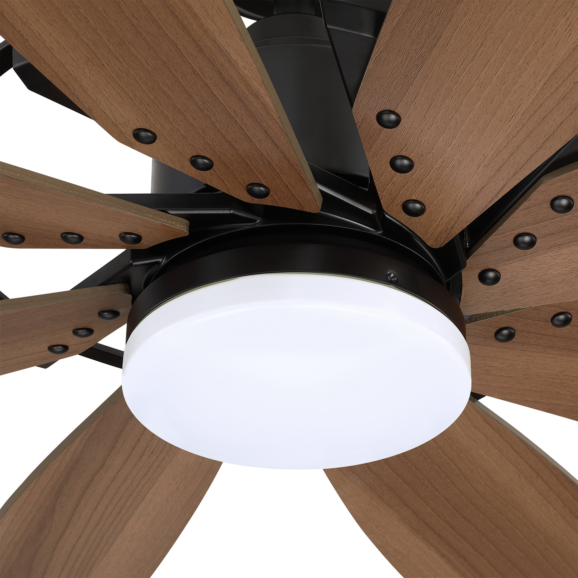 Parrot Uncle F8249110V Ceiling-Fans - View #9