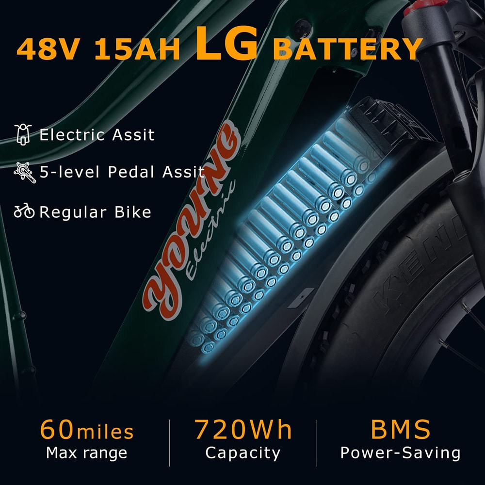 Young Electric 12803010GRN bikes - View #5