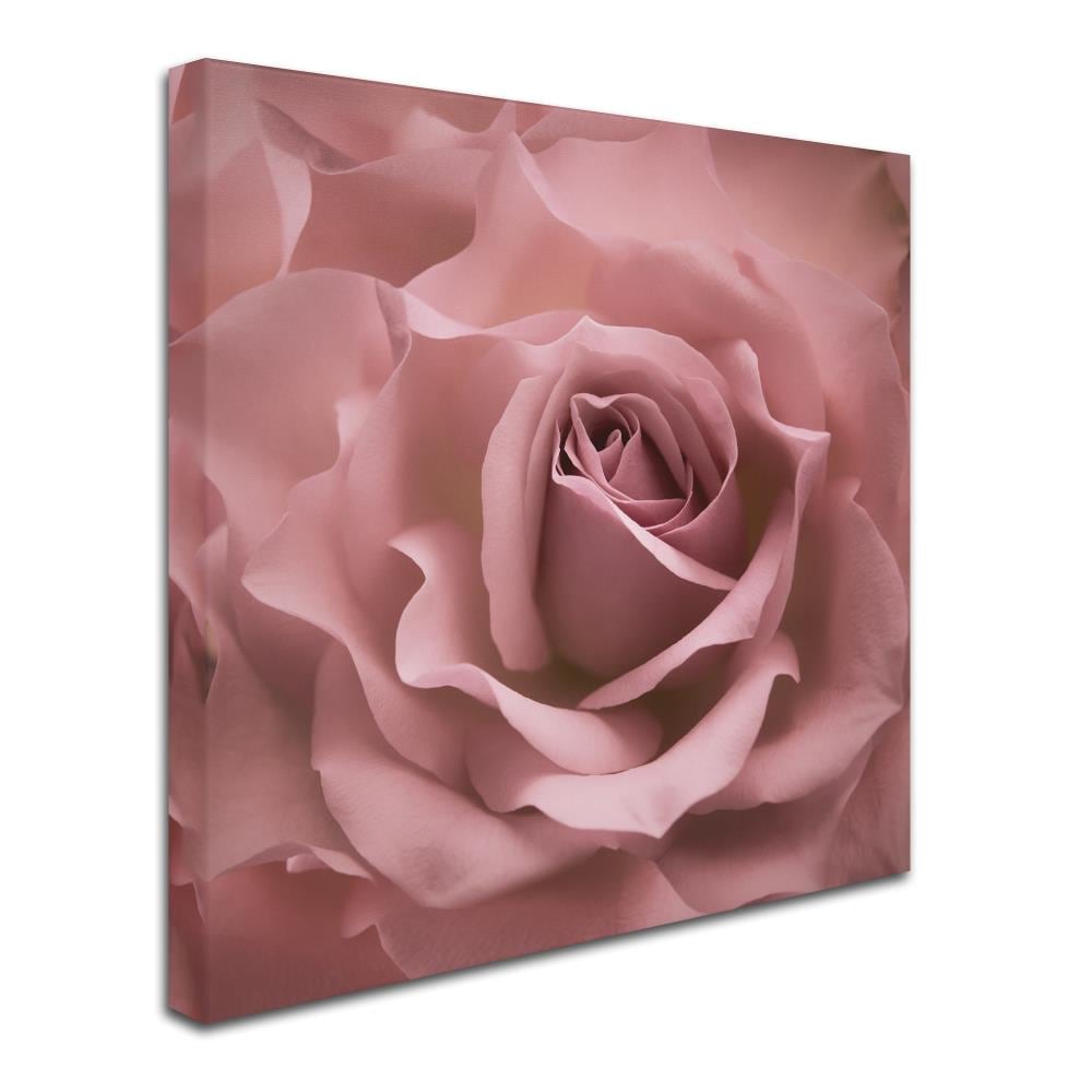 Trademark Fine Art ALI1757-C2424GG Wall-Art - View #3