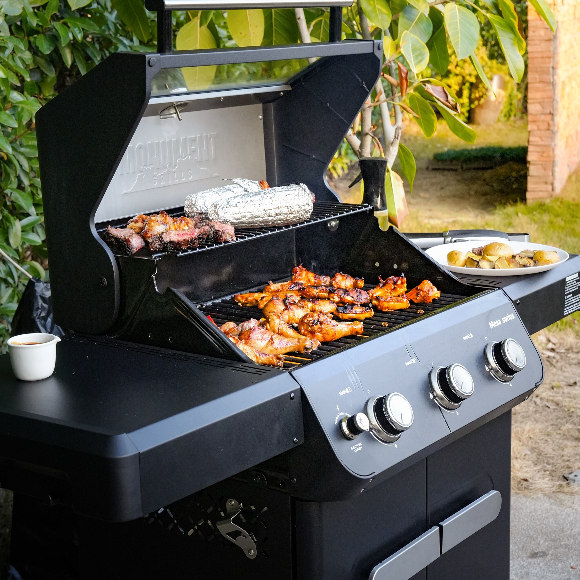 Monument M320 Gas-Grill - View #15