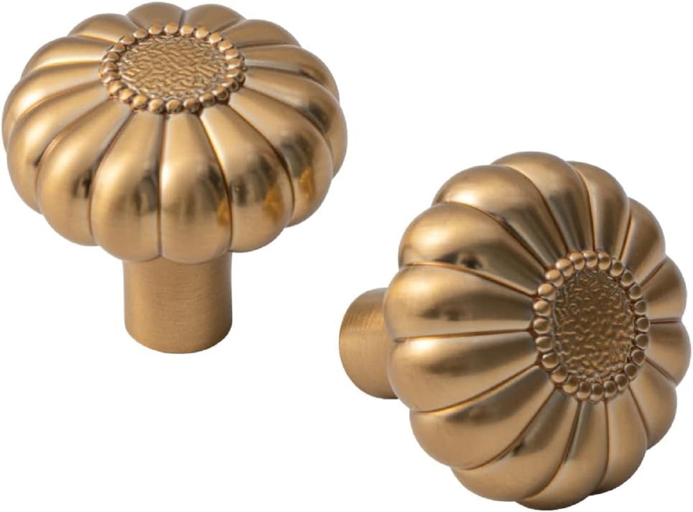 Miaokesen 7817CB-DK-12 1-1/4-in Champagne Brown Mushroom Modern Cabinet Knob 12 -Pack