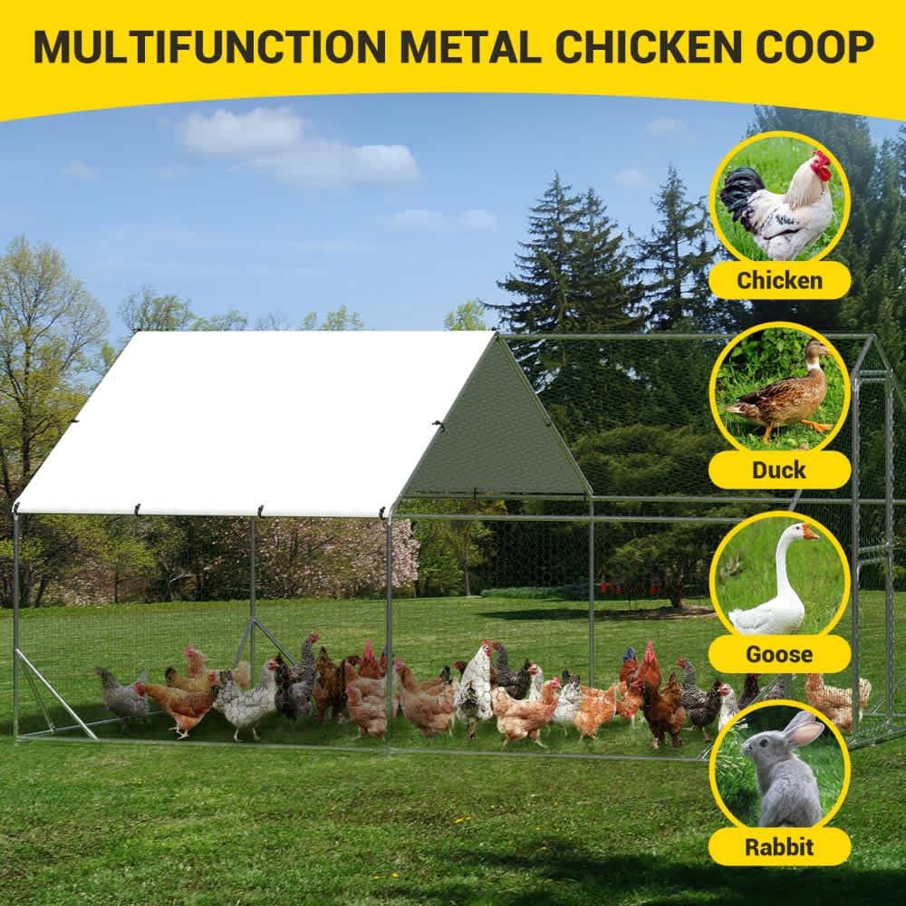 Qeetex WLS-PHO-15UBWLJ4 Chicken-Coops-Rabbit-Hutches - View #9