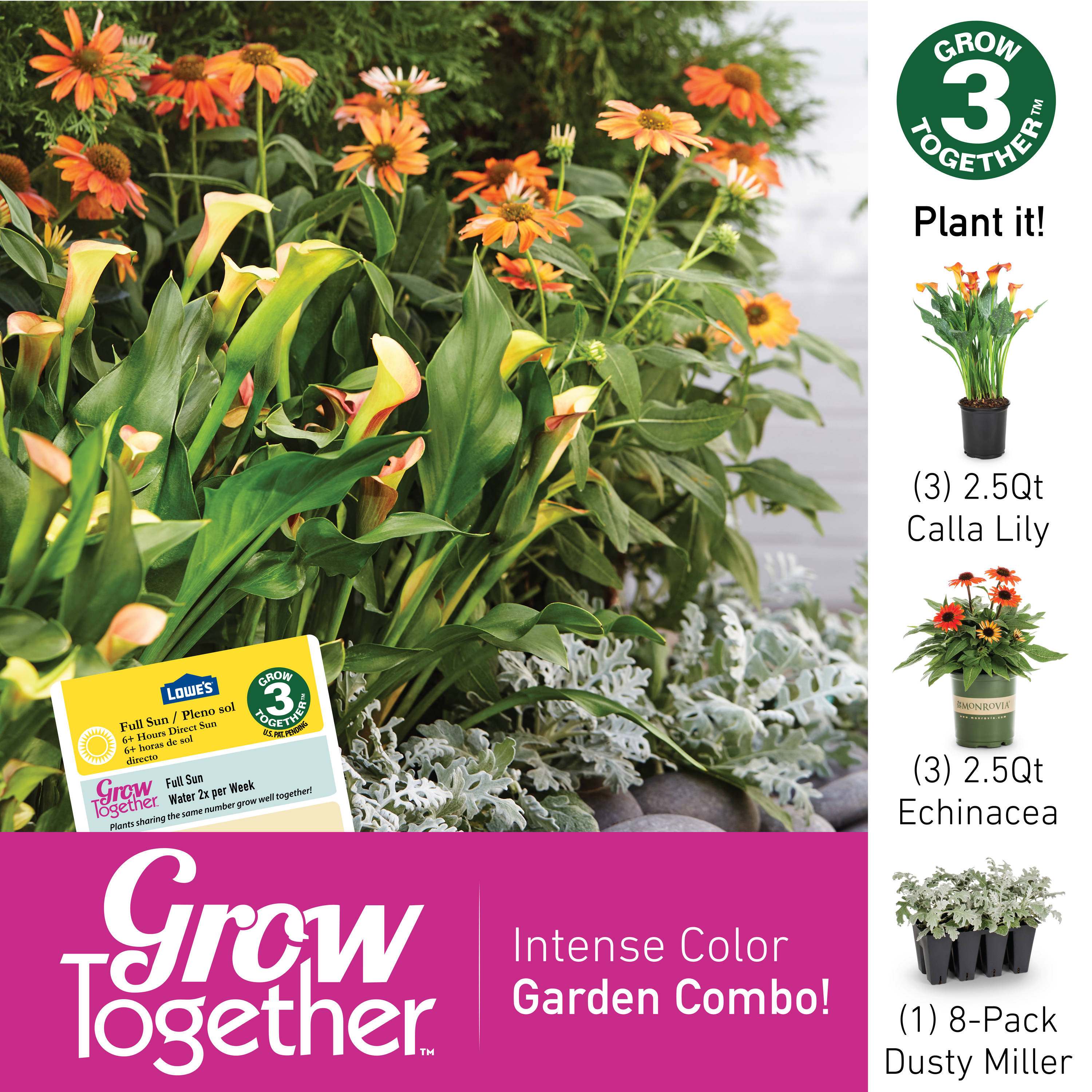Monrovia 1156782 perennials - View #4