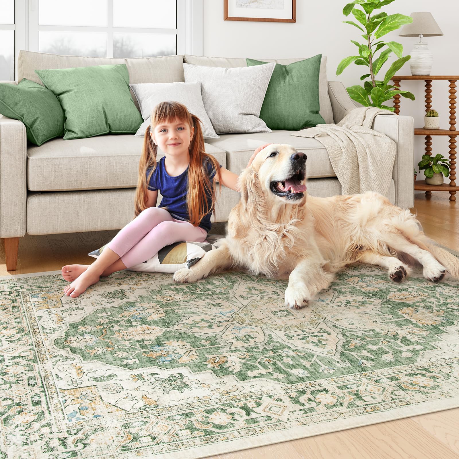 Lahome AR-DYRZP-010-G1 rugs - View #8