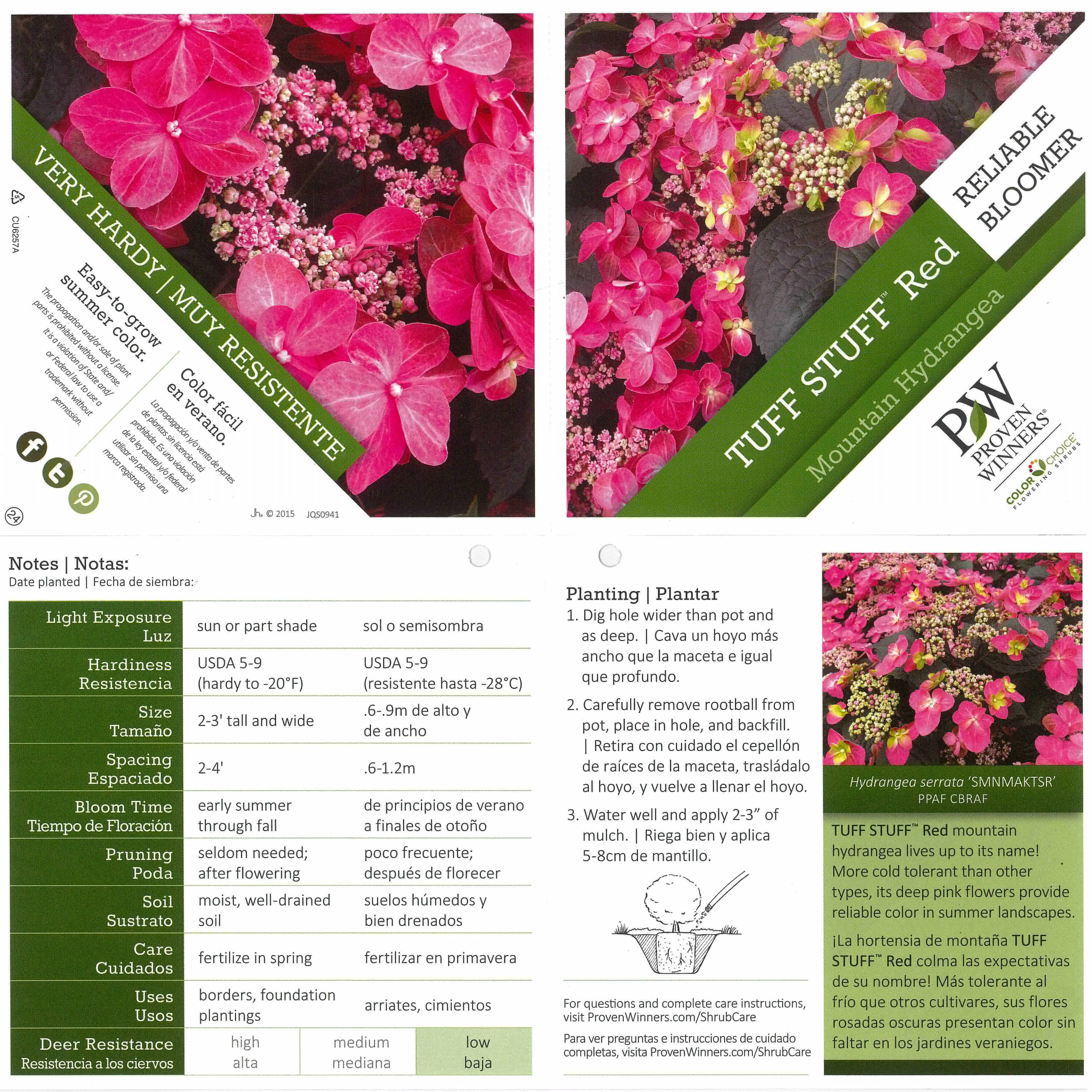 Proven Winners HYDPRC3126101 shrubs - View #4