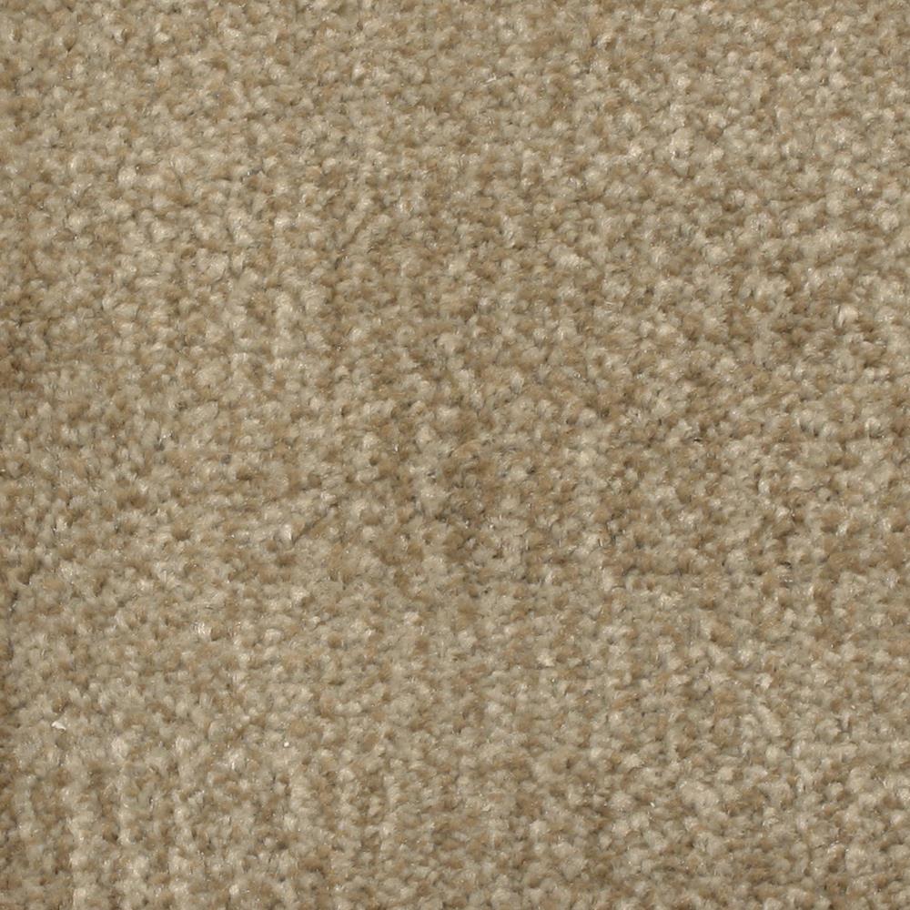 STAINMASTER S1077758INLET-9060 (Sample) PetProtect Pilot Point II Inlet Pattern Carpet