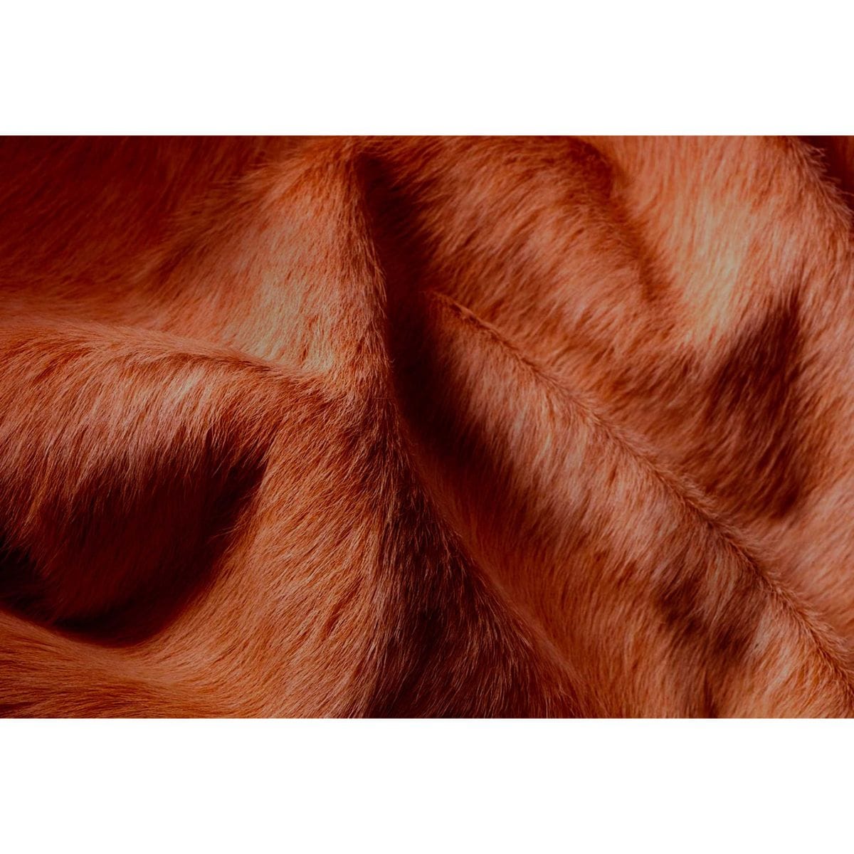 HomeRoots 332269 rugs - View #2