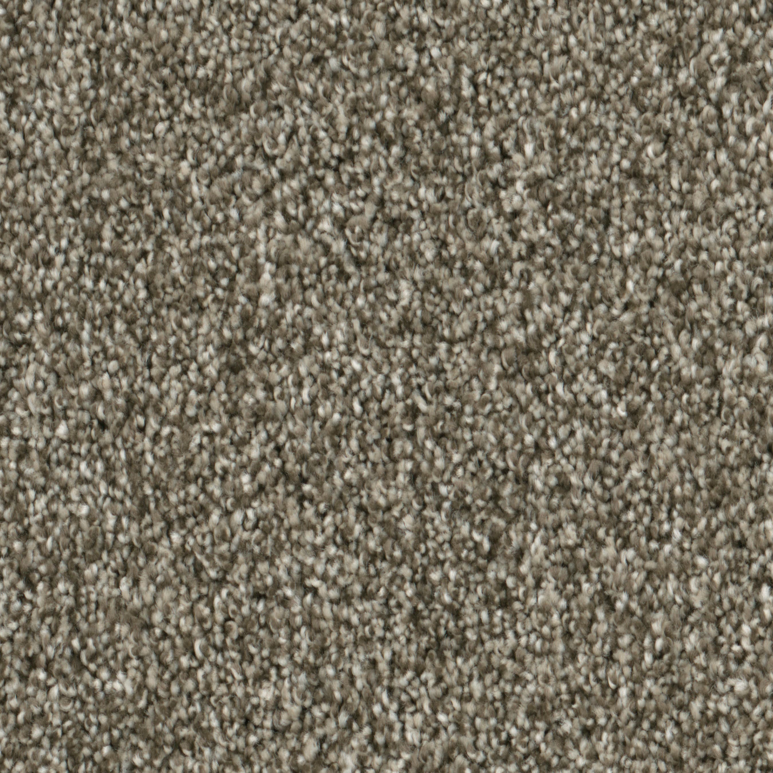 (Sample) Lenox Park Parkway Textured Indoor Carpet | - STAINMASTER S9255-926-S