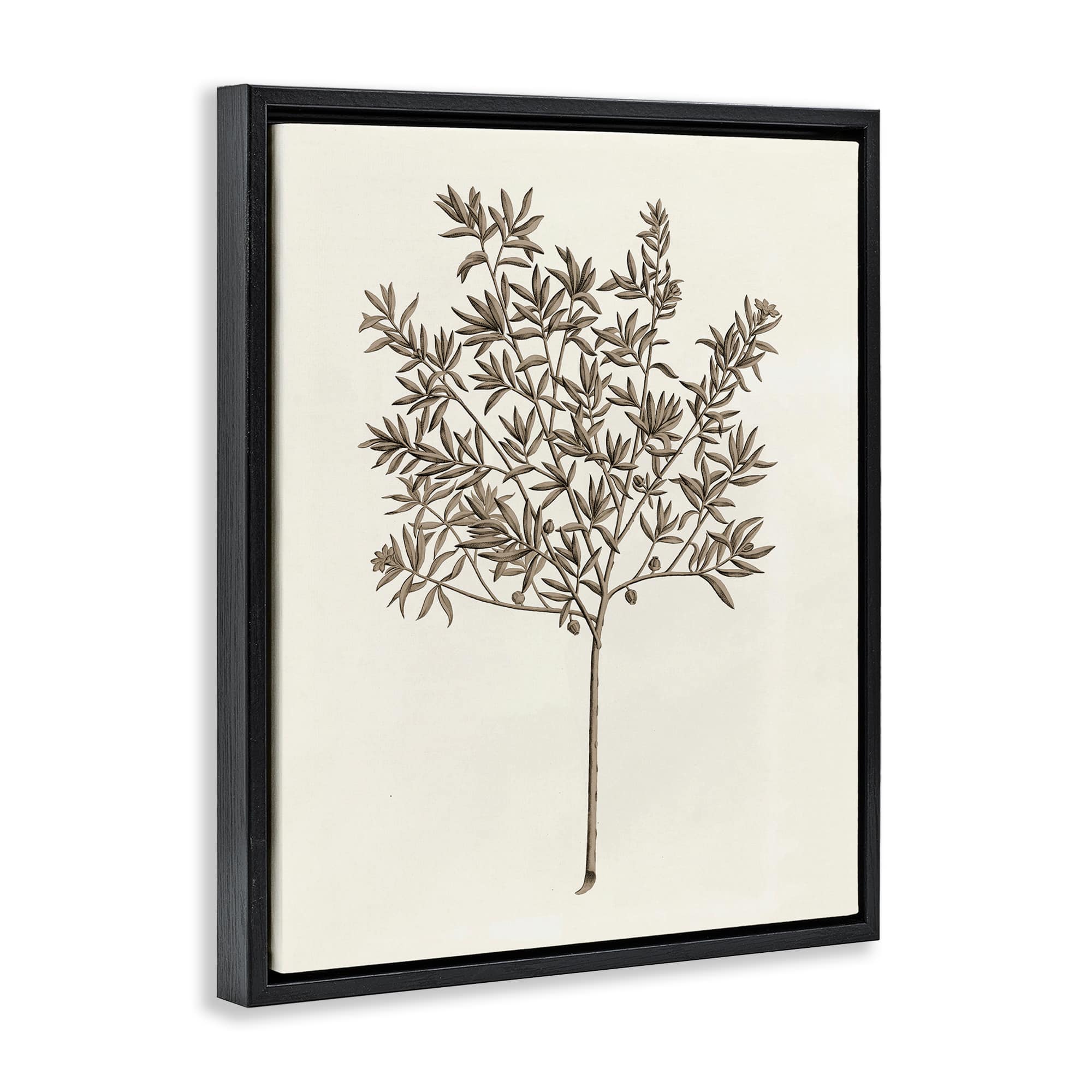 Stupell Industries BT-479-FFB-16X20 Wall-Art - View #2