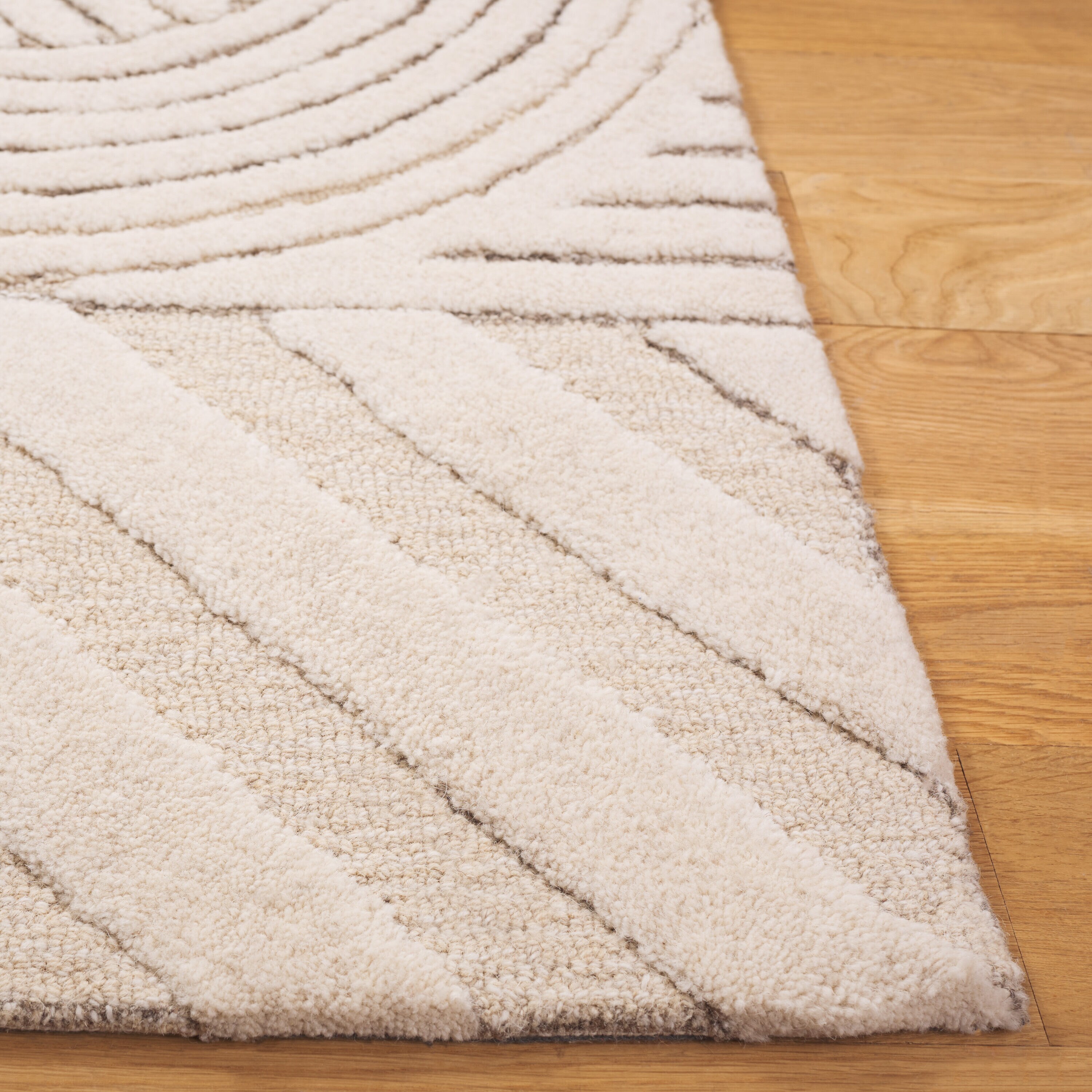 Safavieh EBN818T-5 rugs - View #3