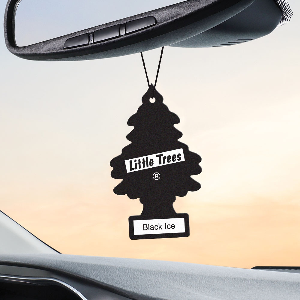 LITTLE TREES 6-Count Black Ice Dispenser Air Freshener (6-Pack) in the Air  Fresheners department at