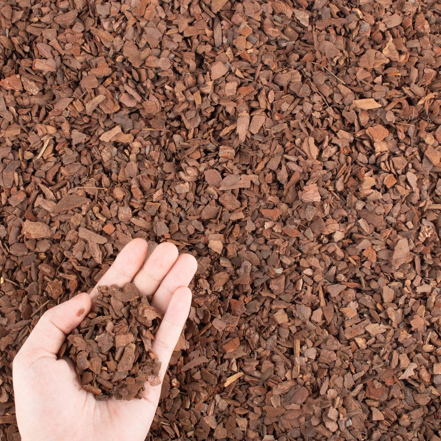 FANTIAN - 9 Qt Natural Pine Bark Orchid Potting Mix - Organic Bark Chips for Orchid Root Developm...