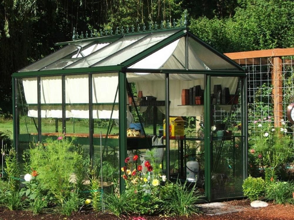Janssens VI 23 GG greenhouses - View #2