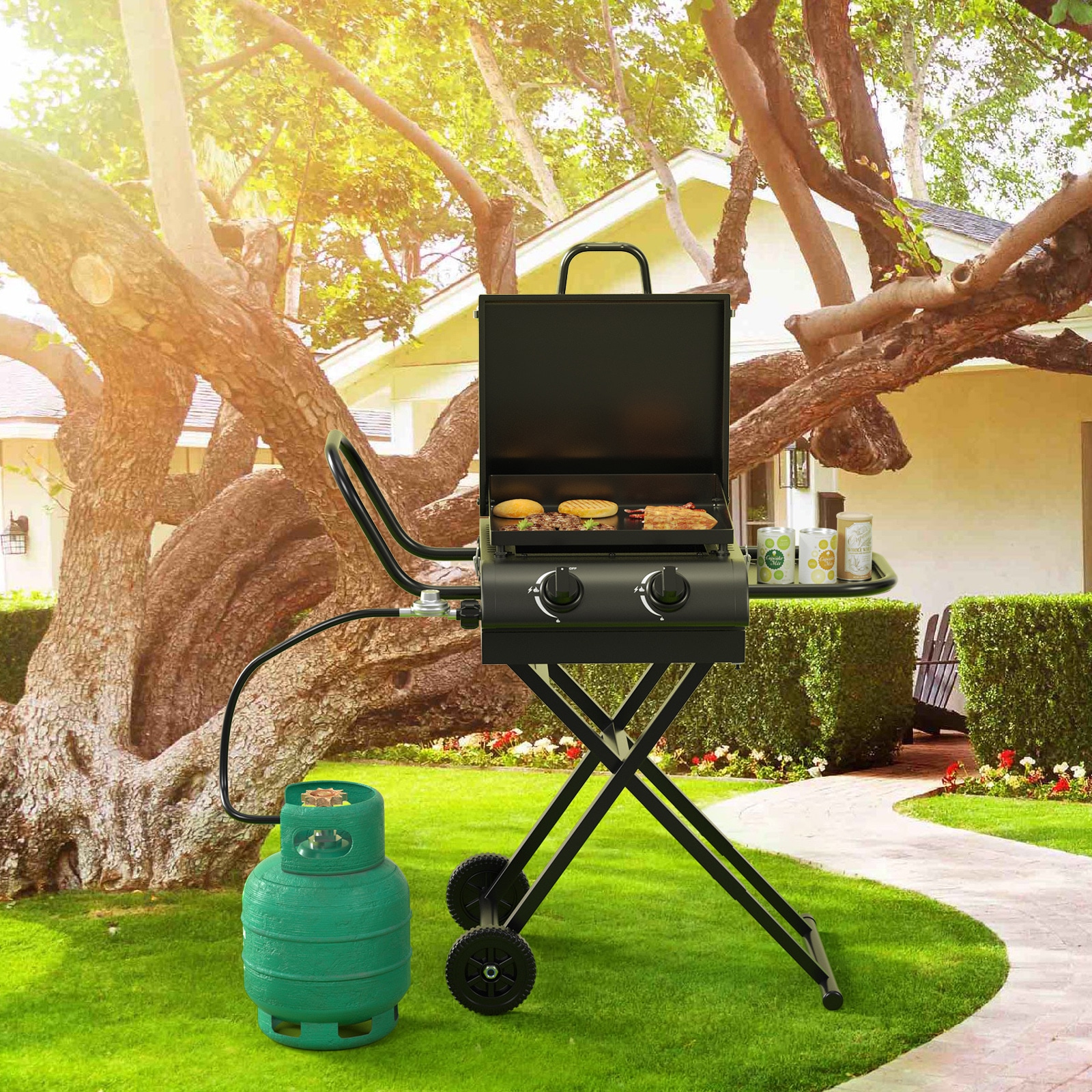 Topteng H054-A007 Gas-Grill - View #8