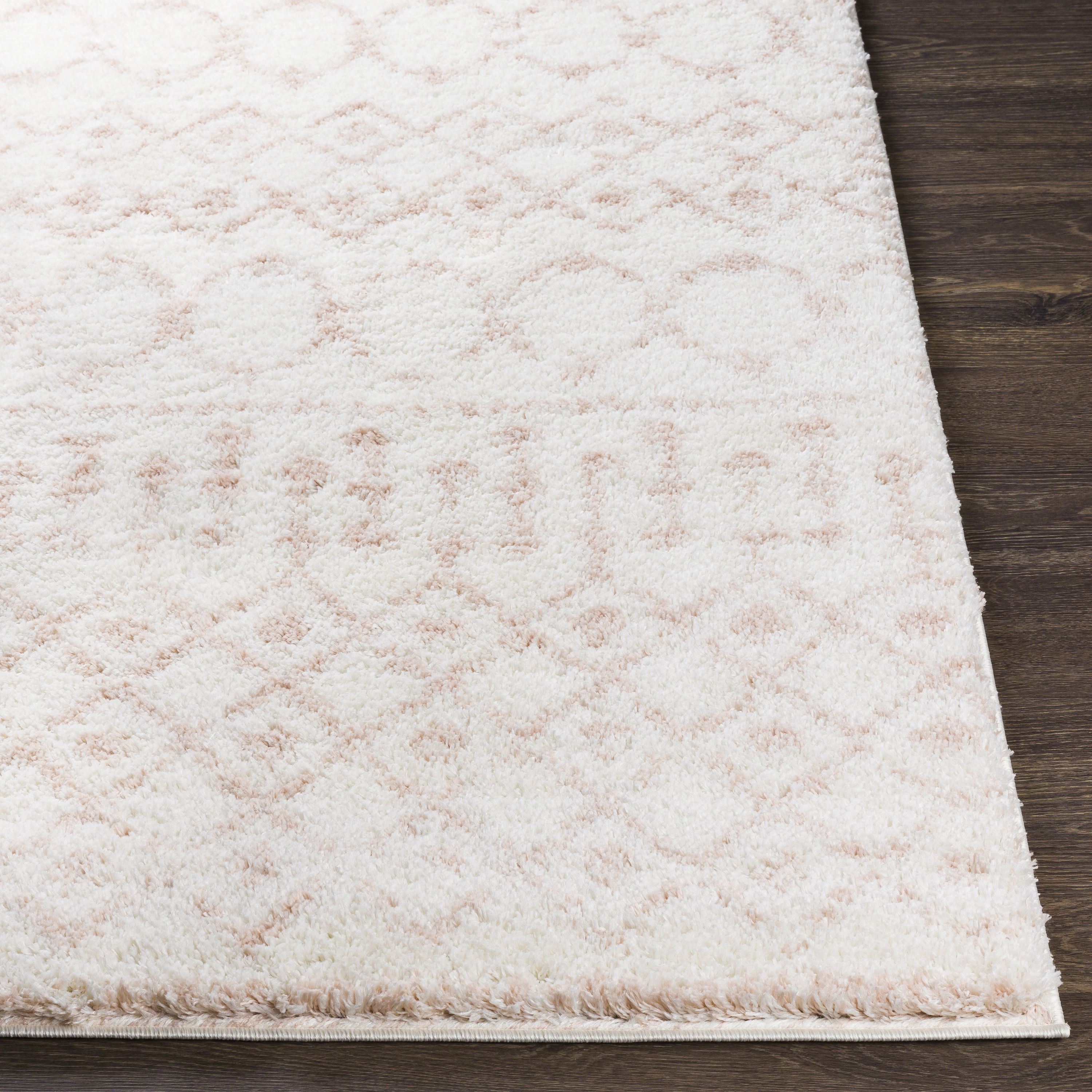 Livabliss ALH2301-679 rugs - View #3