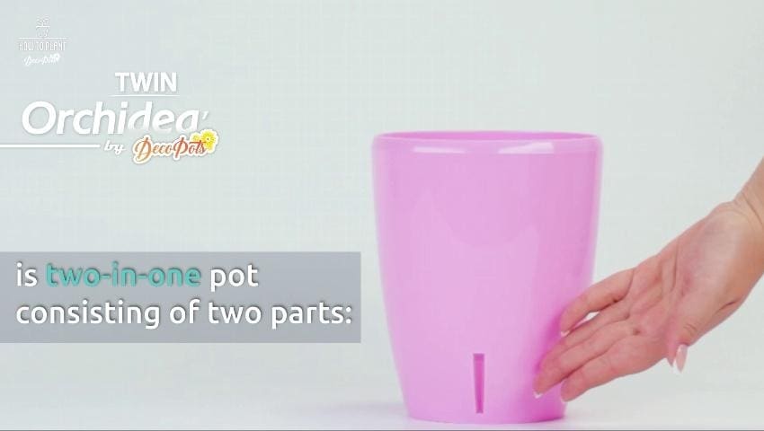 A thumbnail for the video