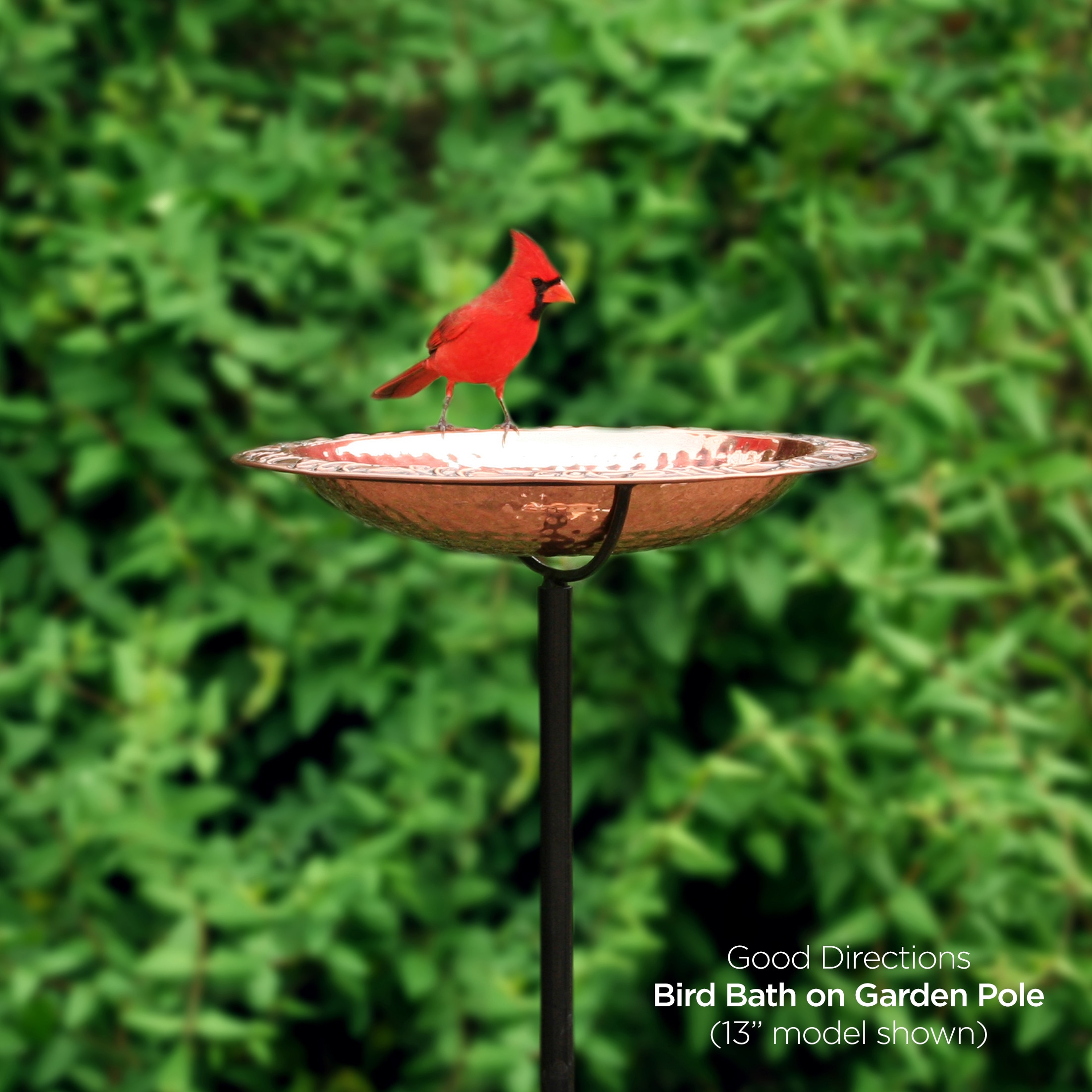 Good Directions BBG18 birdbaths - View #2