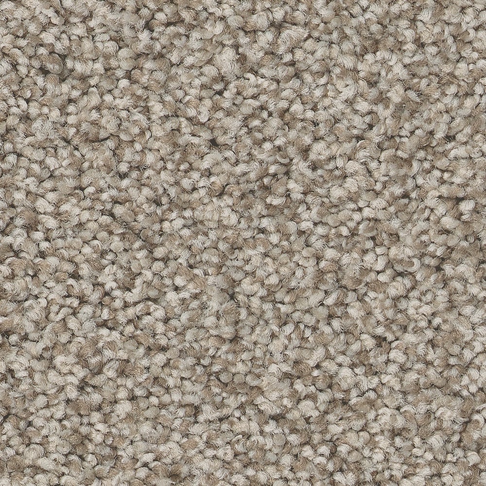 STAINMASTER 7L880 - 722 - SAMP (Sample) Ready 2 Play III Bandit Brown 73.1-oz sq yard Nylon Textured Indoor Carpet