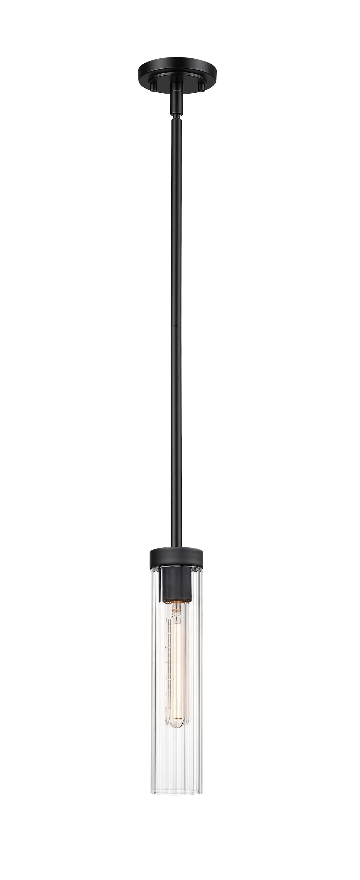 Matte Black Steel and Glass 12.75" Indoor/Outdoor Pendant Light
