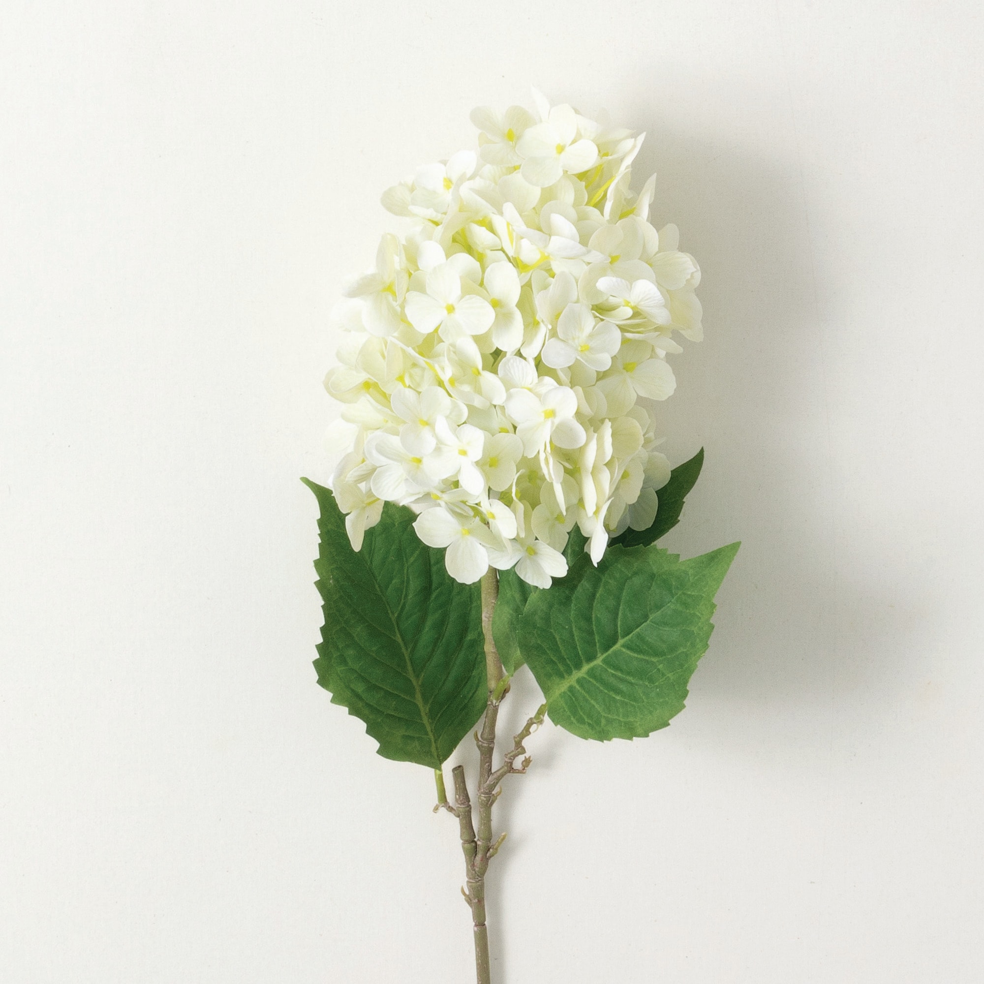 Sullivans GA1711 CR 34-Inches Ivory Indoor Desktop Hydrangea Artificial flower