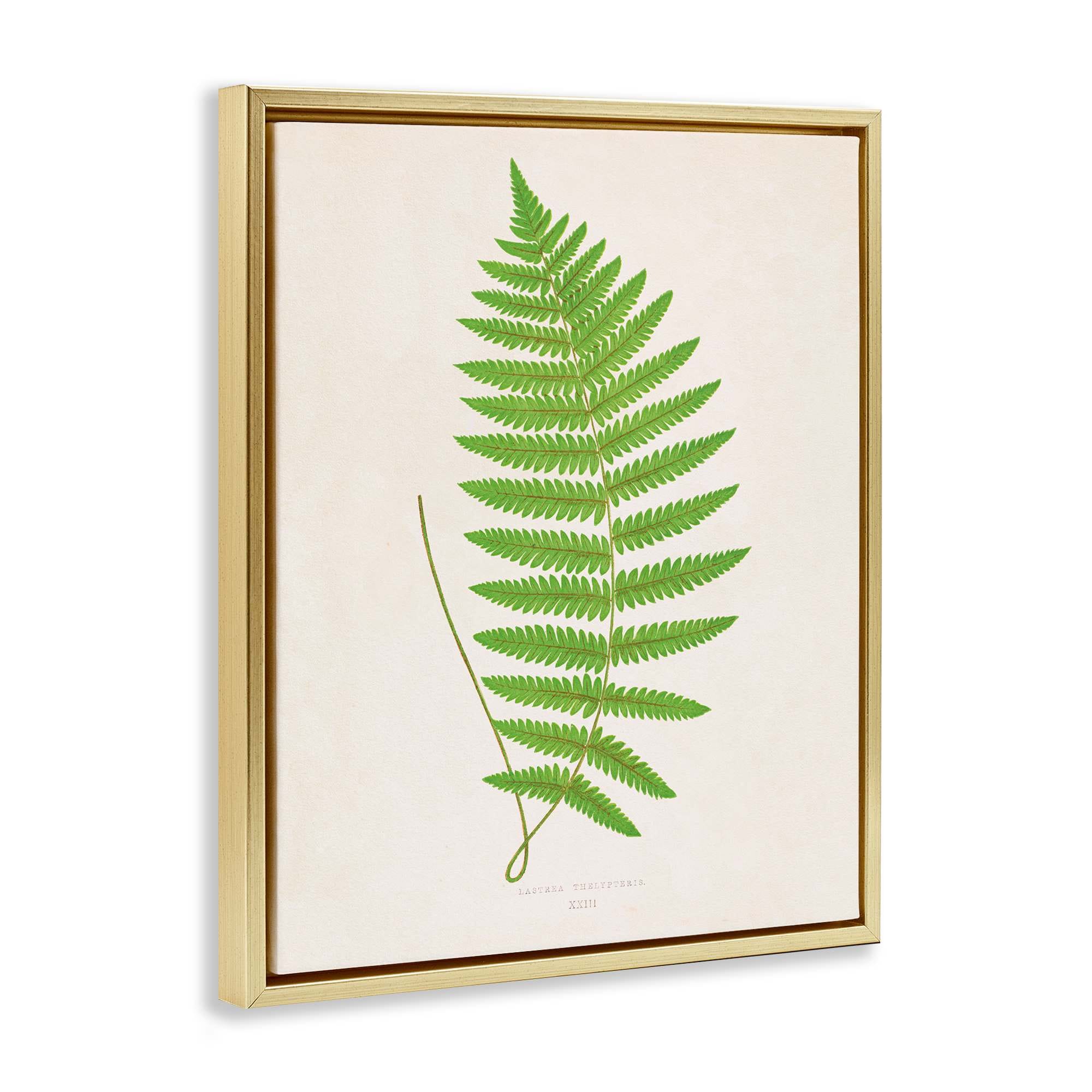 Stupell Industries BT-468-FFG-24X30 Wall-Art - View #2