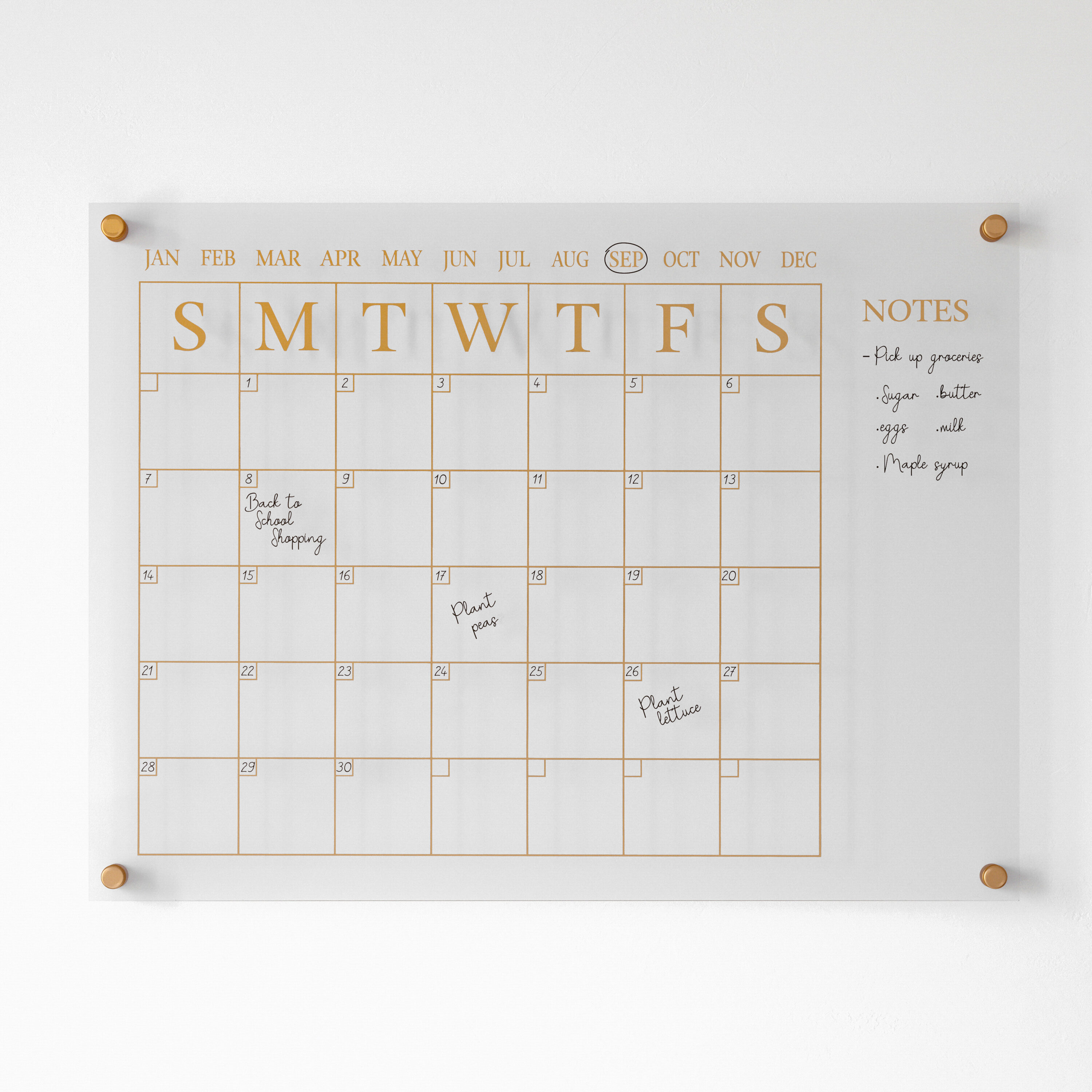 Acrylic Calendar Dry Erase Family Wall Calendar, 23 x 17, NEW