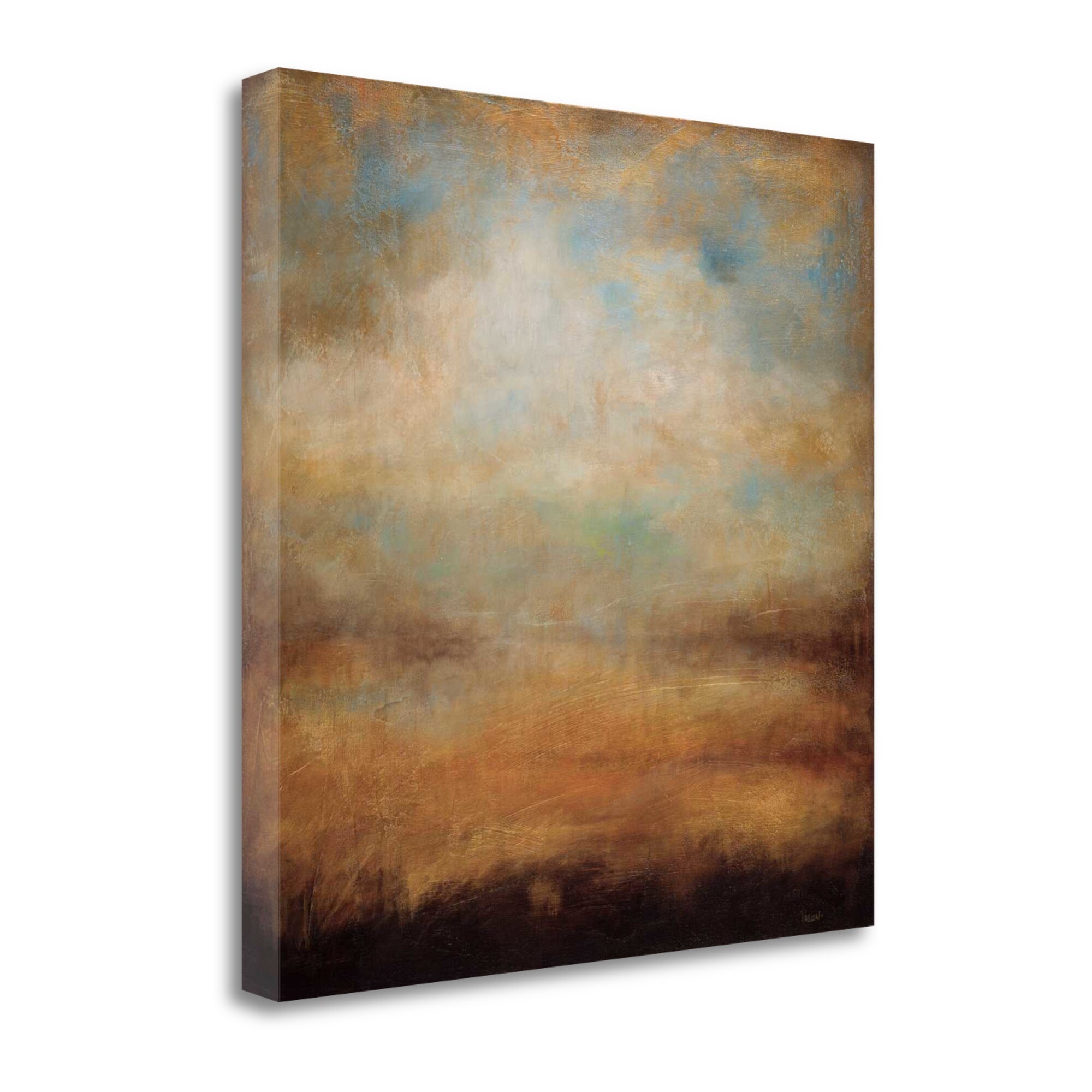 Tangletown Fine Art CAPWP114-3030C Posta Del Sol Wani Pasion 30-in H x 30-in W Landscape Print on Canvas