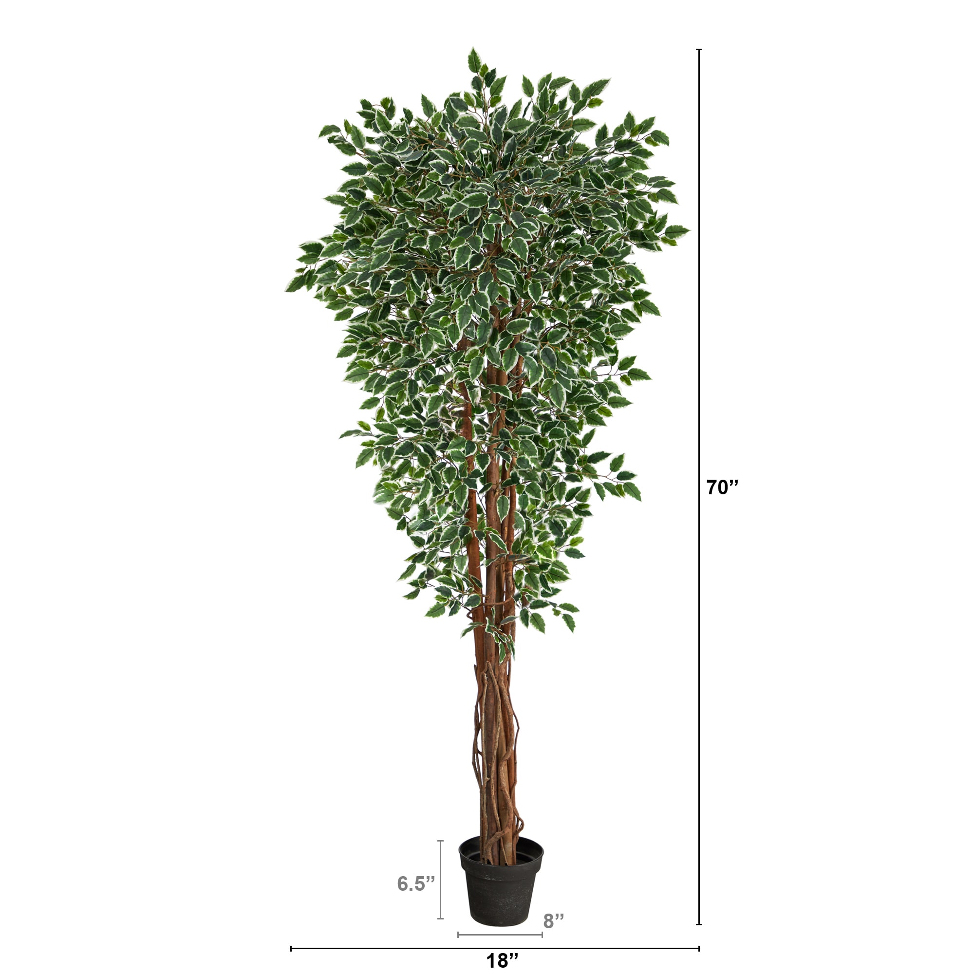 6’ Ficus Artificial Tree in White Tin Planter