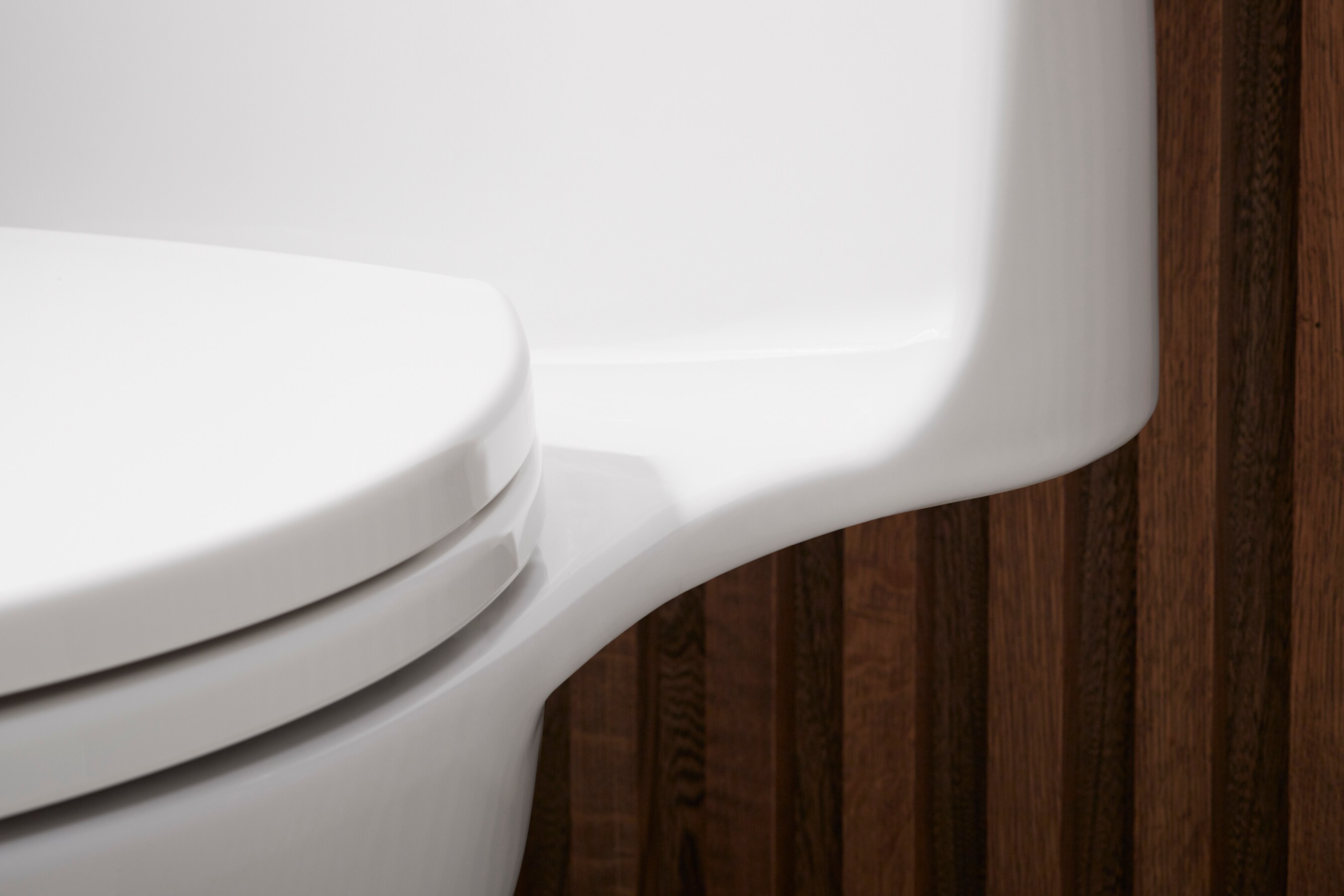 Santa Rosa White Compact Elongated One-Piece Toilet