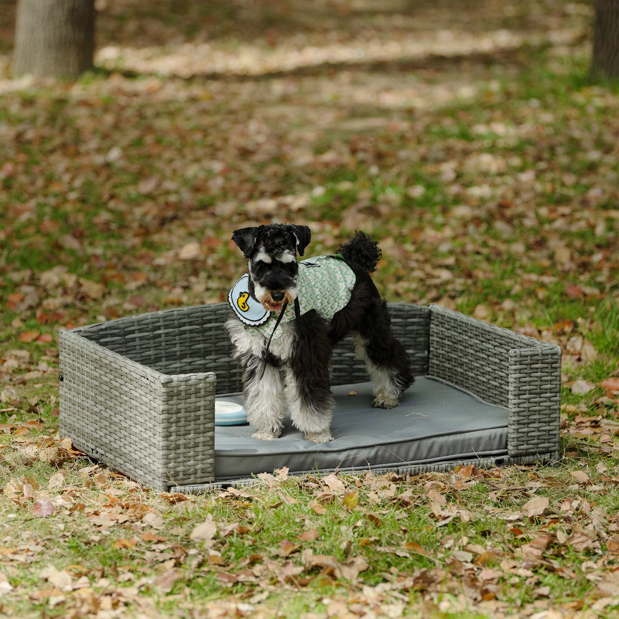 Gaierptone CRXLO7GDLPT Pet-Beds - View #2