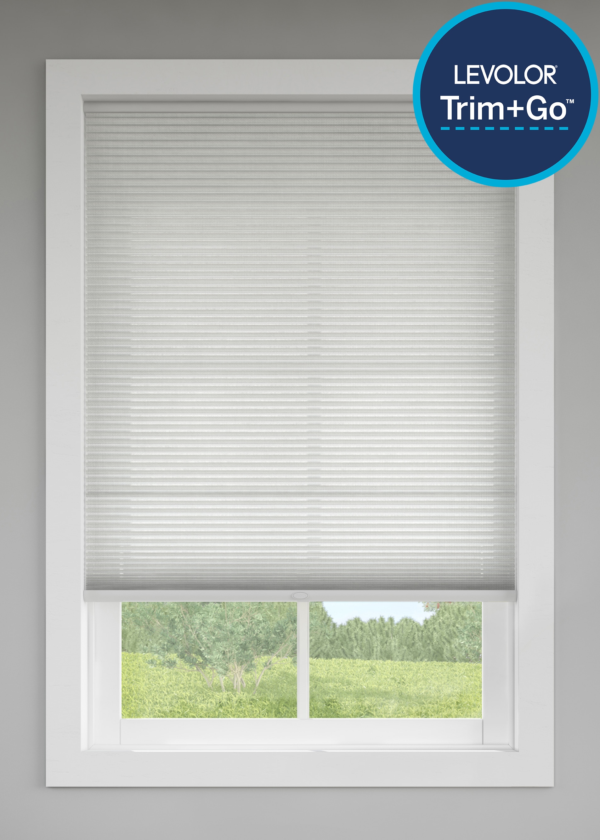 LEVOLOR 1921609 60-in x 72-in Graphite Light Filtering Cordless Cellular shade Shade