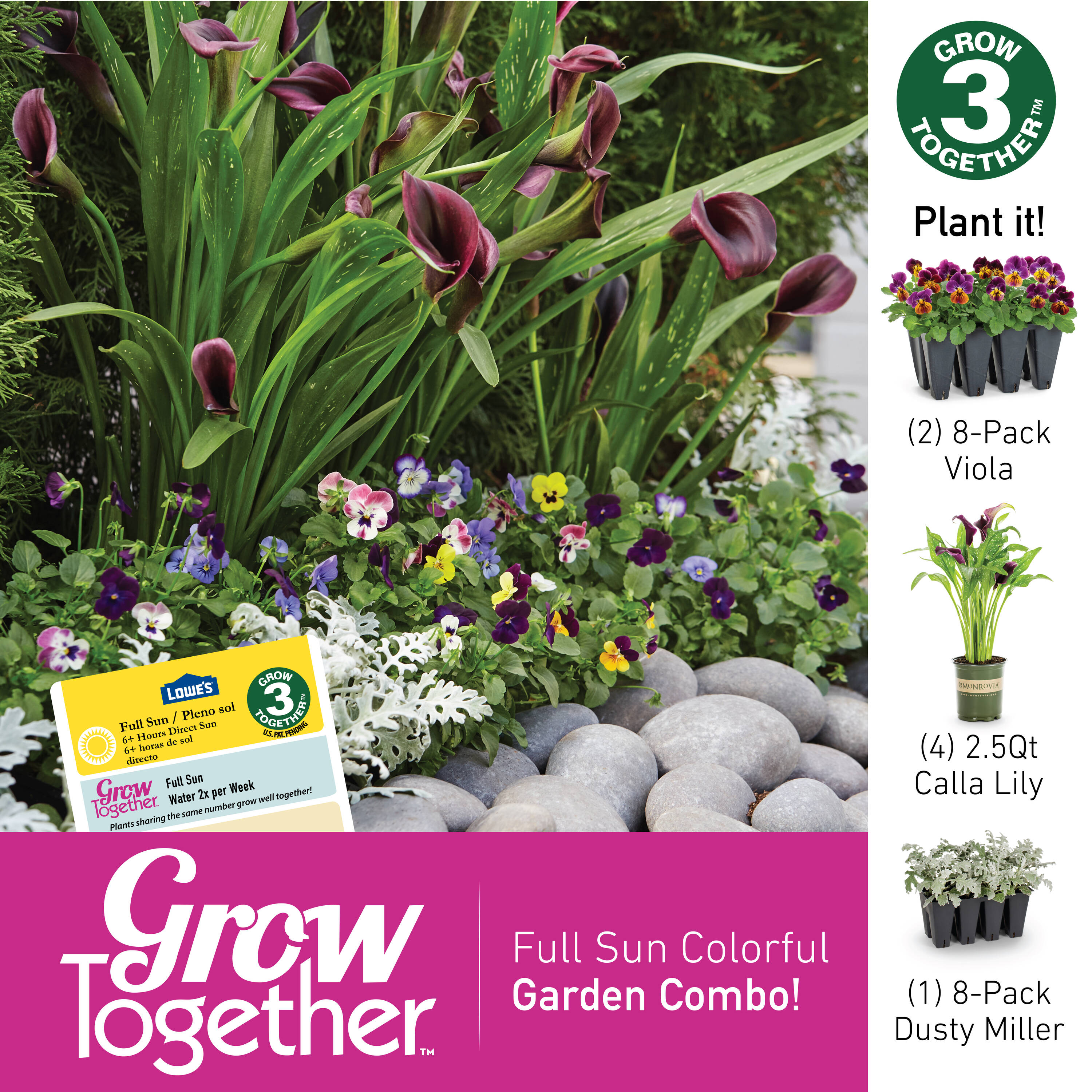 Lowe's NURSERY annuals - View #7