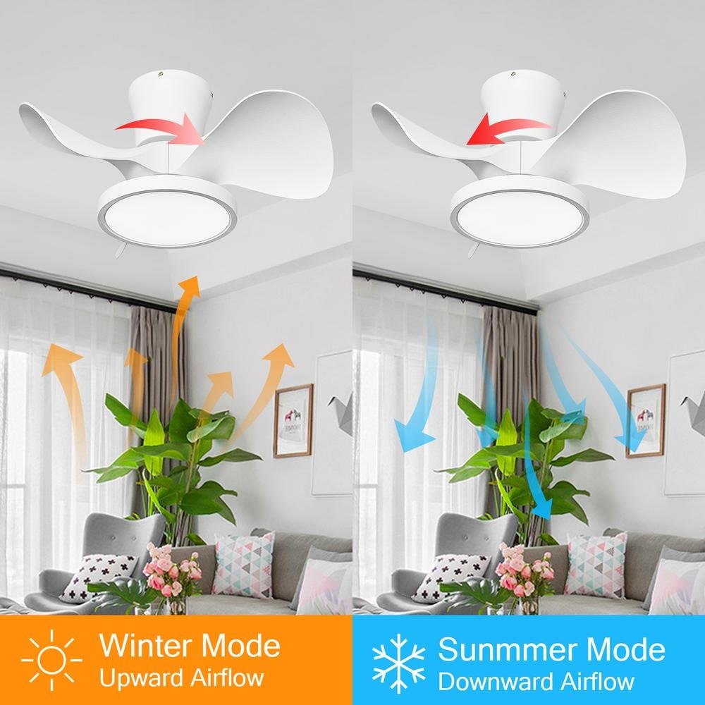 TALOYA RZ-LSEW-WH22 Ceiling-Fans - View #4
