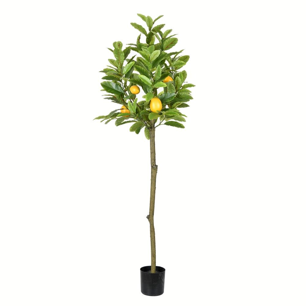 Vickerman TB190255 55-in Green Indoor Fruit Artificial Tree