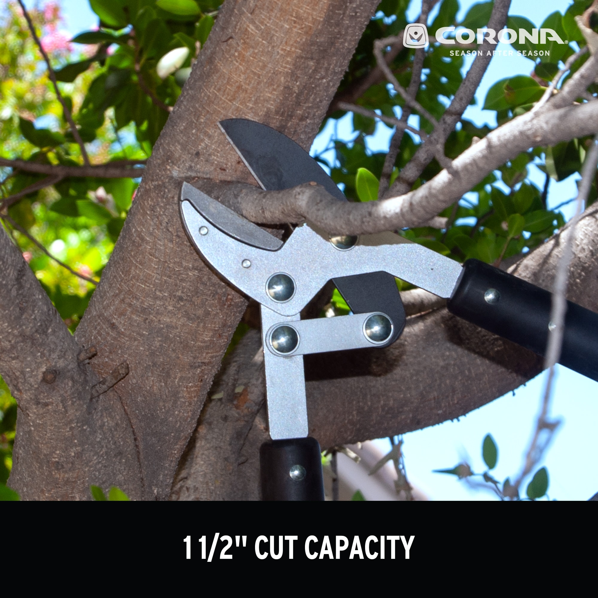 Corona 24-in Telescoping Forged Steel Bypass Lopper In The Loppers ...