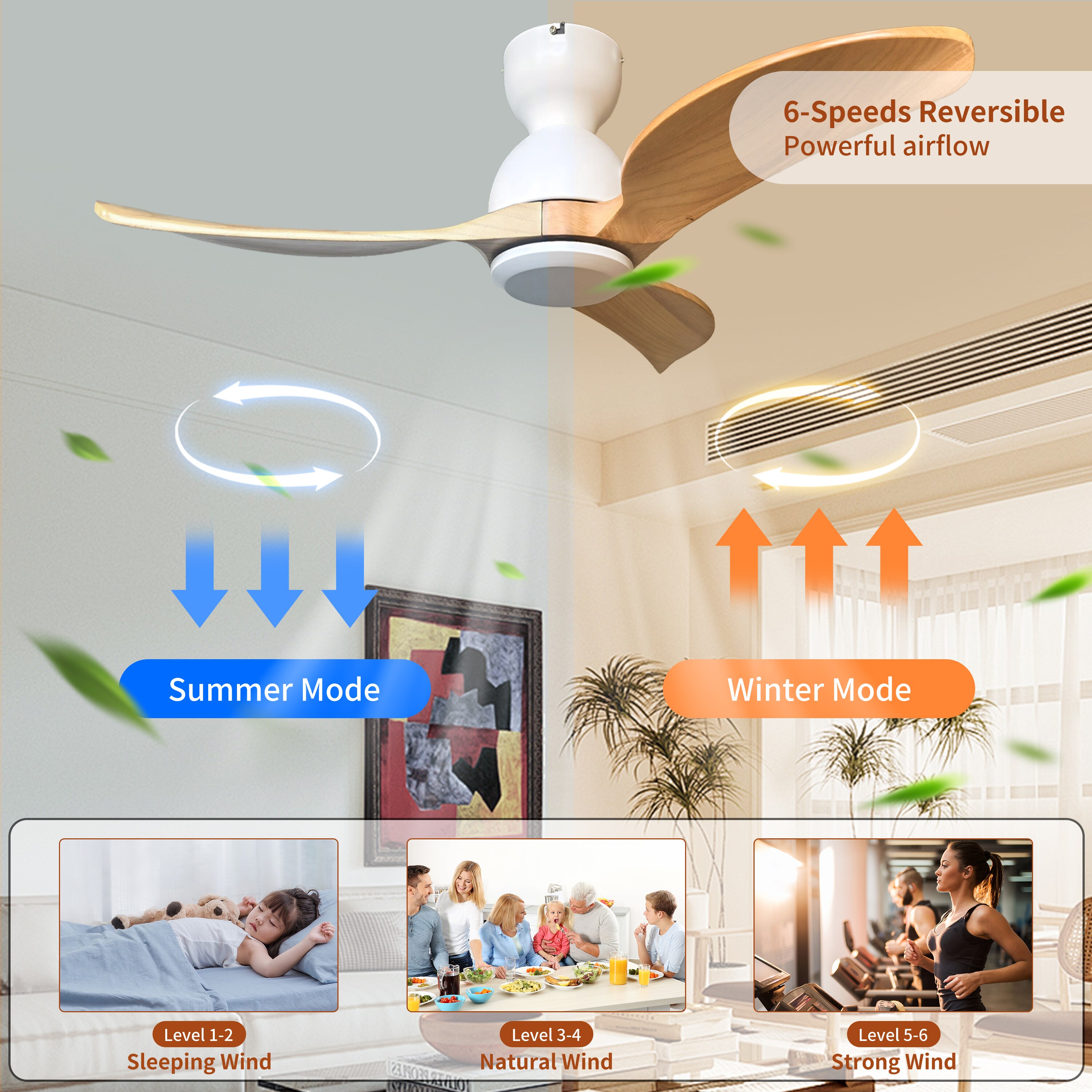 Duclsaty 1P2352P555919 Ceiling-Fans - View #4