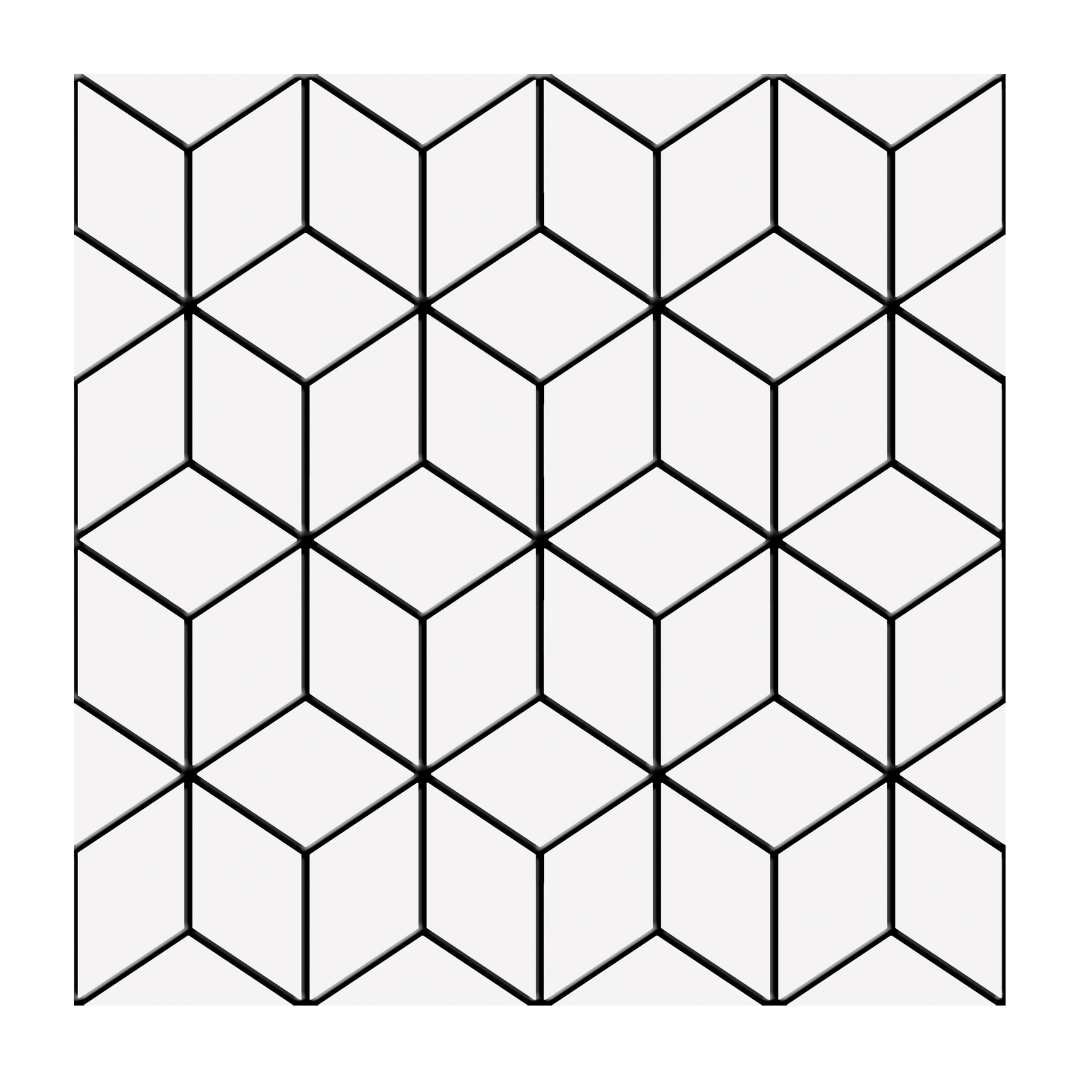 The Tile Life SALHA1010NE Sample- Winifred Black 10-in x 10-in Glossy Porcelain Encaustic Floor and Wall Tile