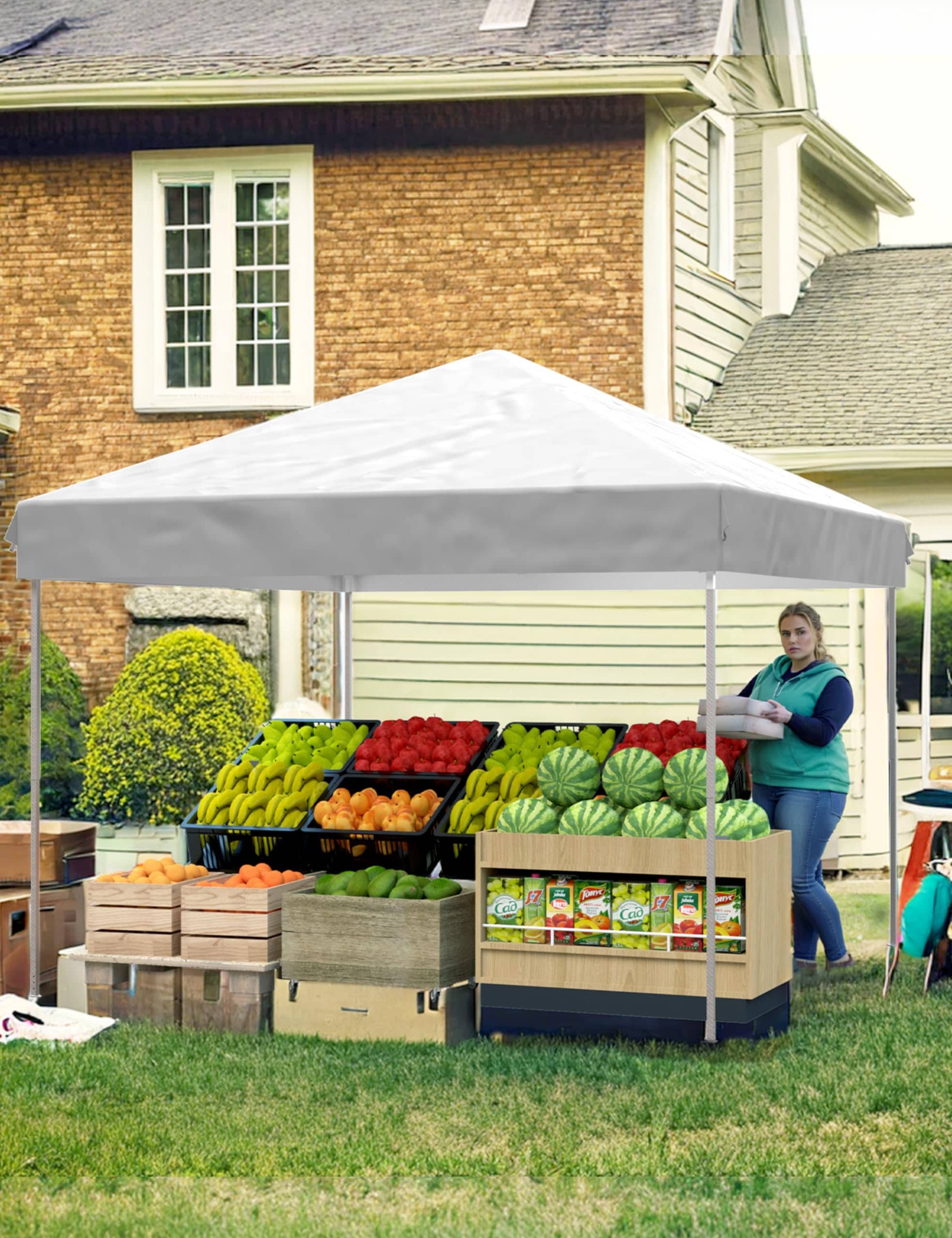 DEXSO ENCOREPHOBA3074 Tractor-Canopies - View #8
