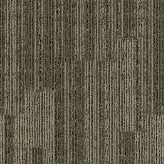 Mohawk Home & Office Common Area Driftwood Textured Carpet Sample (Interior) Mohawk Home & Office Common Area Driftwood Textured Carpet Sample (Interior)