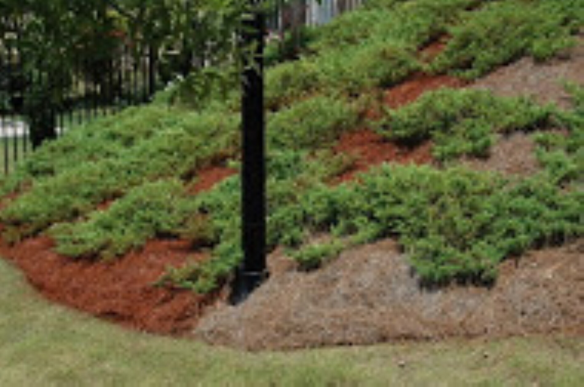 EnviroColor GP0032 Mulch-Dyes - View #7