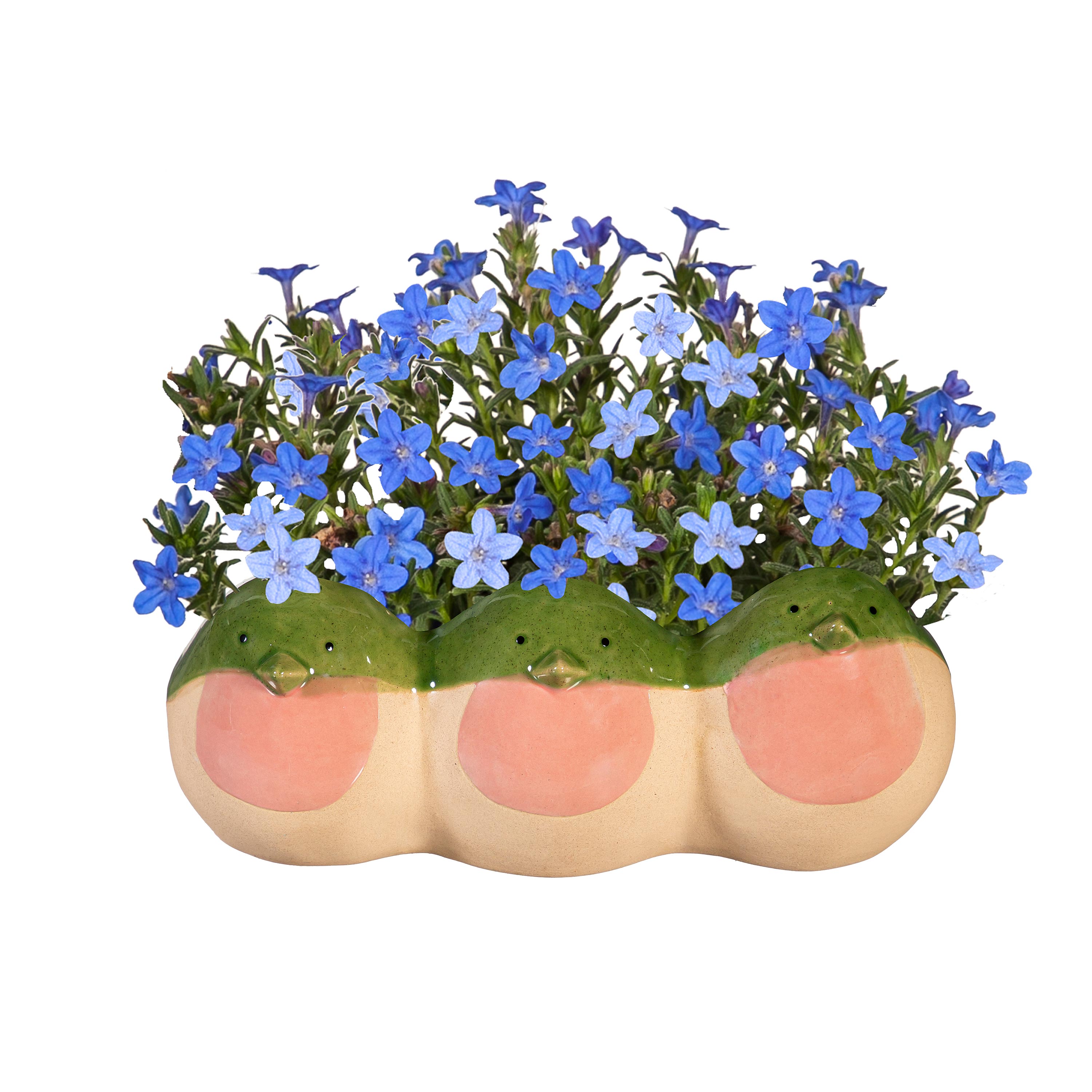 Evergreen 2CG1328 Planter-Window-Box - View #3
