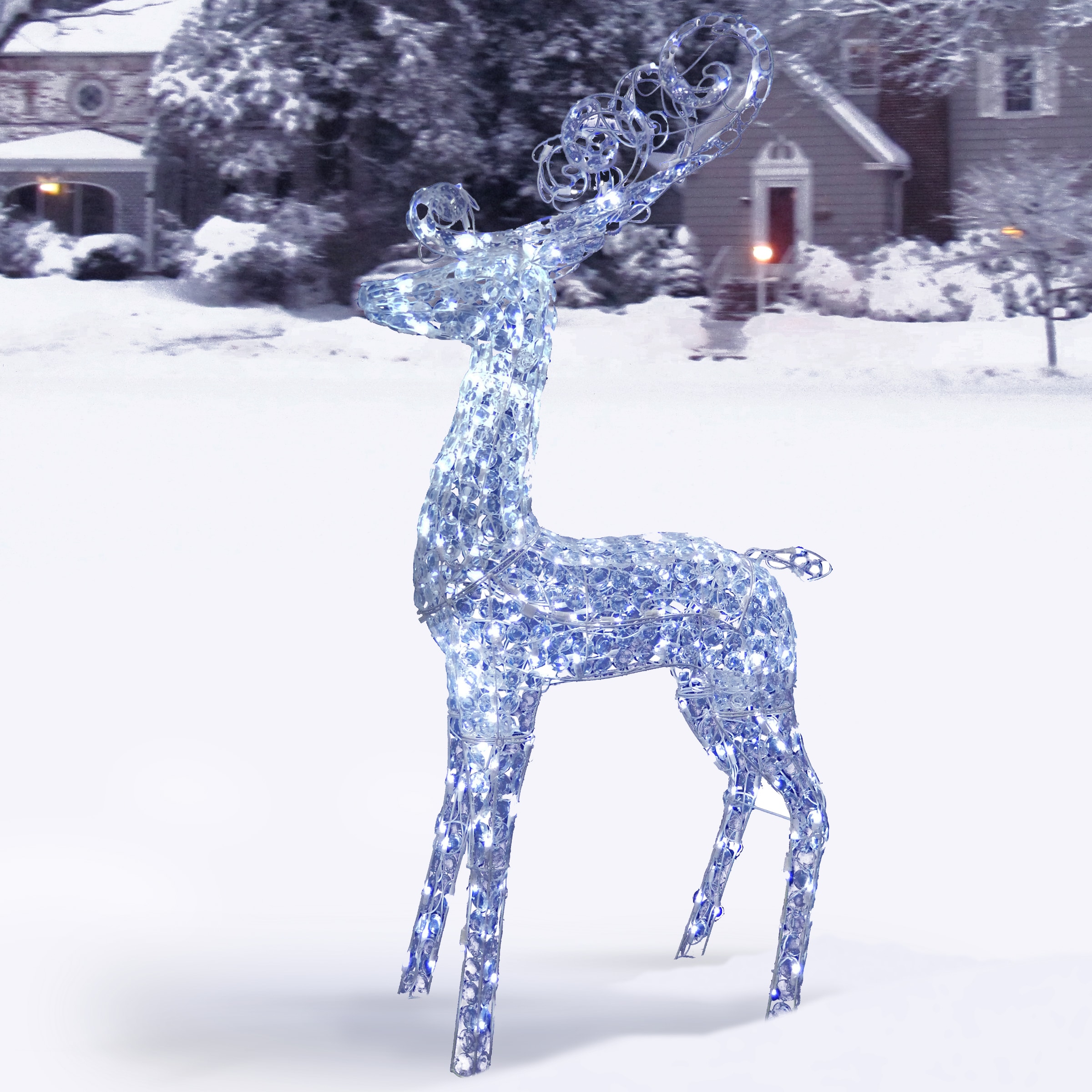 National Tree Company DF-210001C Outdoor-Christmas-Decor - View #5