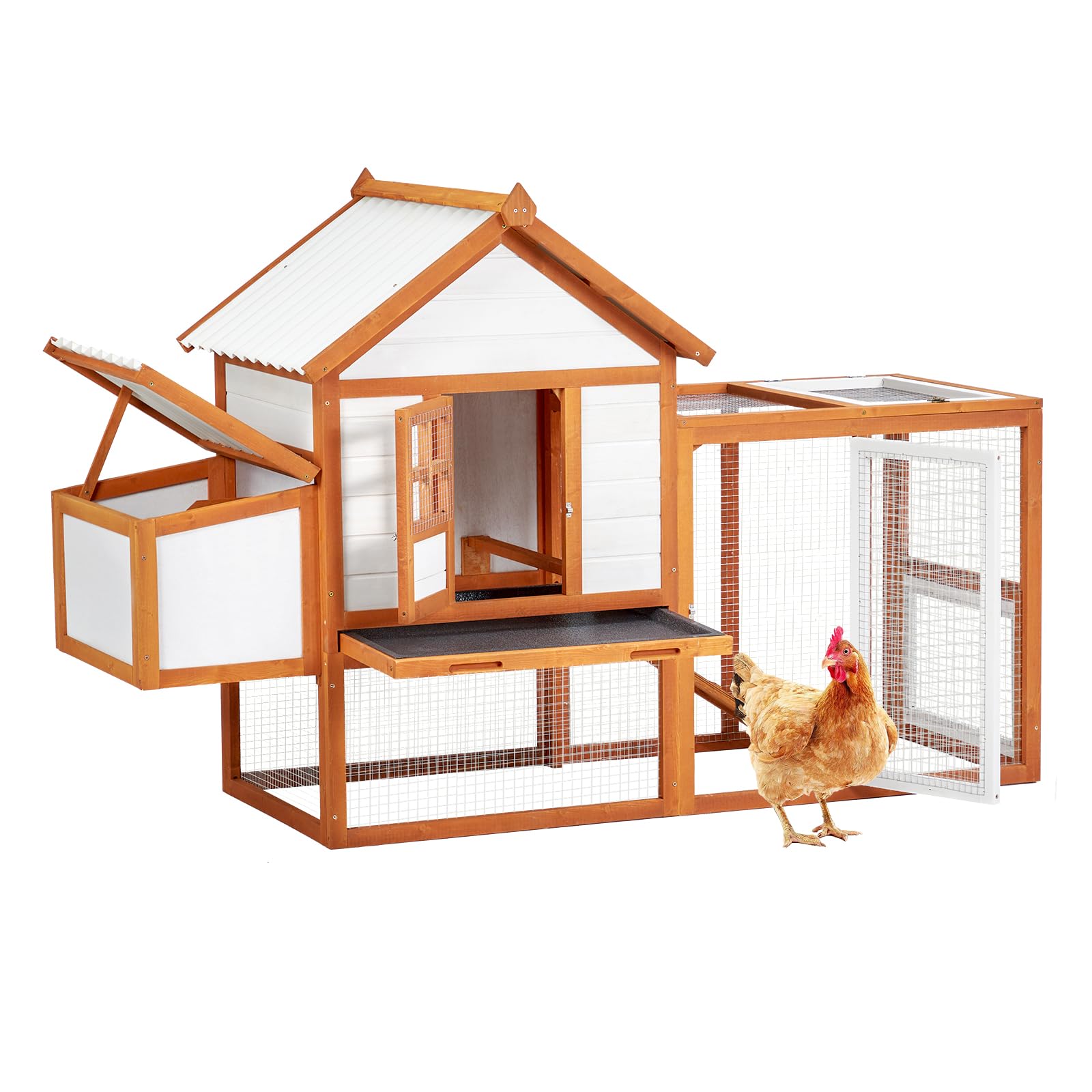 Encore Beets JANE-Y82SKQ5N Chicken-Coops-Rabbit-Hutches - View #3