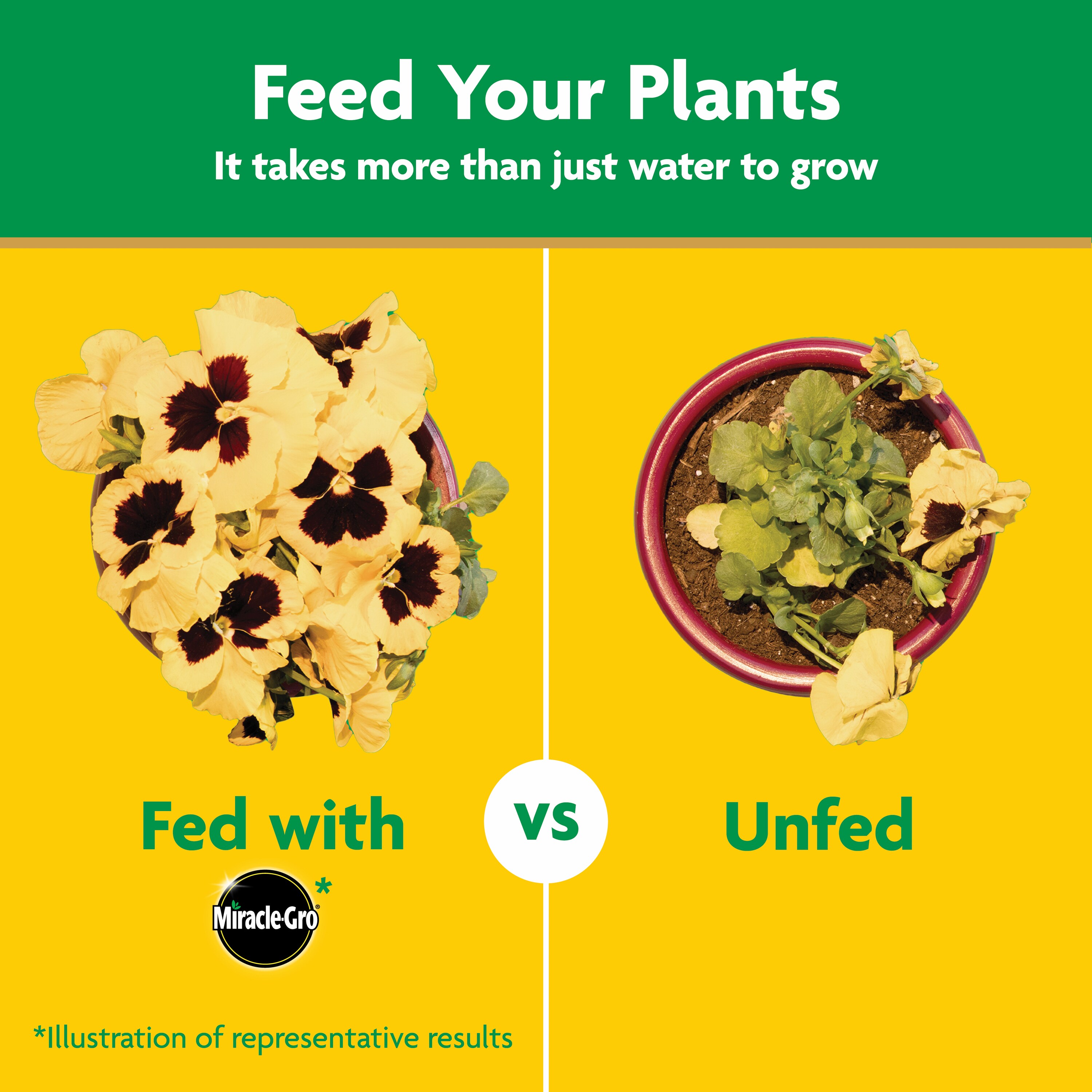 Miracle-Gro 1013328 Plant-Food - View #8